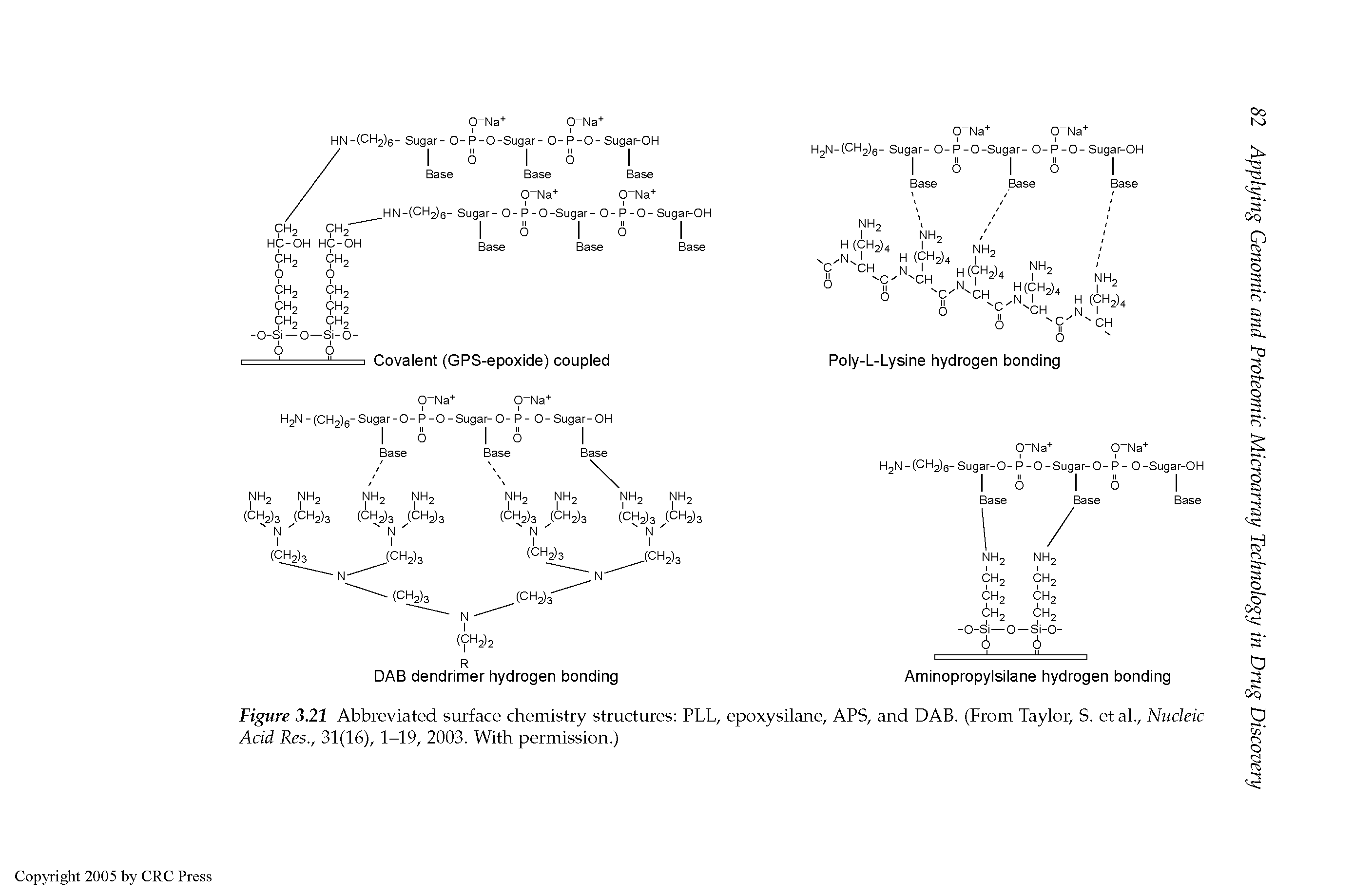 Figure 3.21 Abbreviated surface chemistry structures PLL, epoxysilane, APS, and DAB. (From Taylor, S. et al.. Nucleic Acid Res., 31(16), 1-19, 2003. With permission.)...