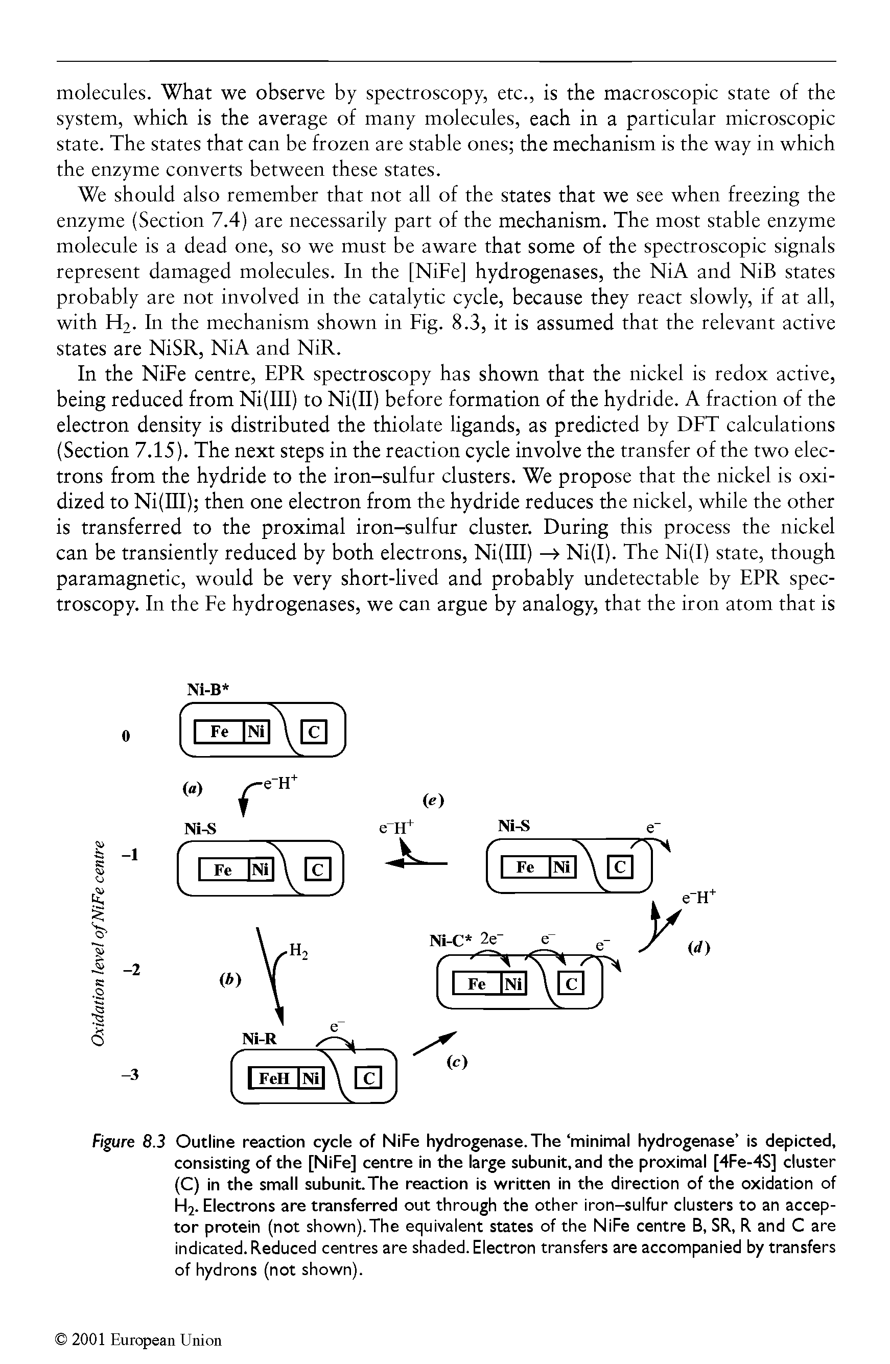 Figure 8.3 Outline reaction cycle of NiFe hydrogenase.The minimal hydrogenase is depicted, consisting of the [NiFe] centre in the large subunit, and the proximal [4Fe-4S] cluster (C) in the small subunit.The reaction is written in the direction of the oxidation of H2. Electrons are transferred out through the other iron-sulfur clusters to an acceptor protein (not shown).The equivalent states of the NiFe centre B, SR, R and C are indicated. Reduced centres are shaded. Electron transfers are accompanied by transfers of hydrons (not shown).