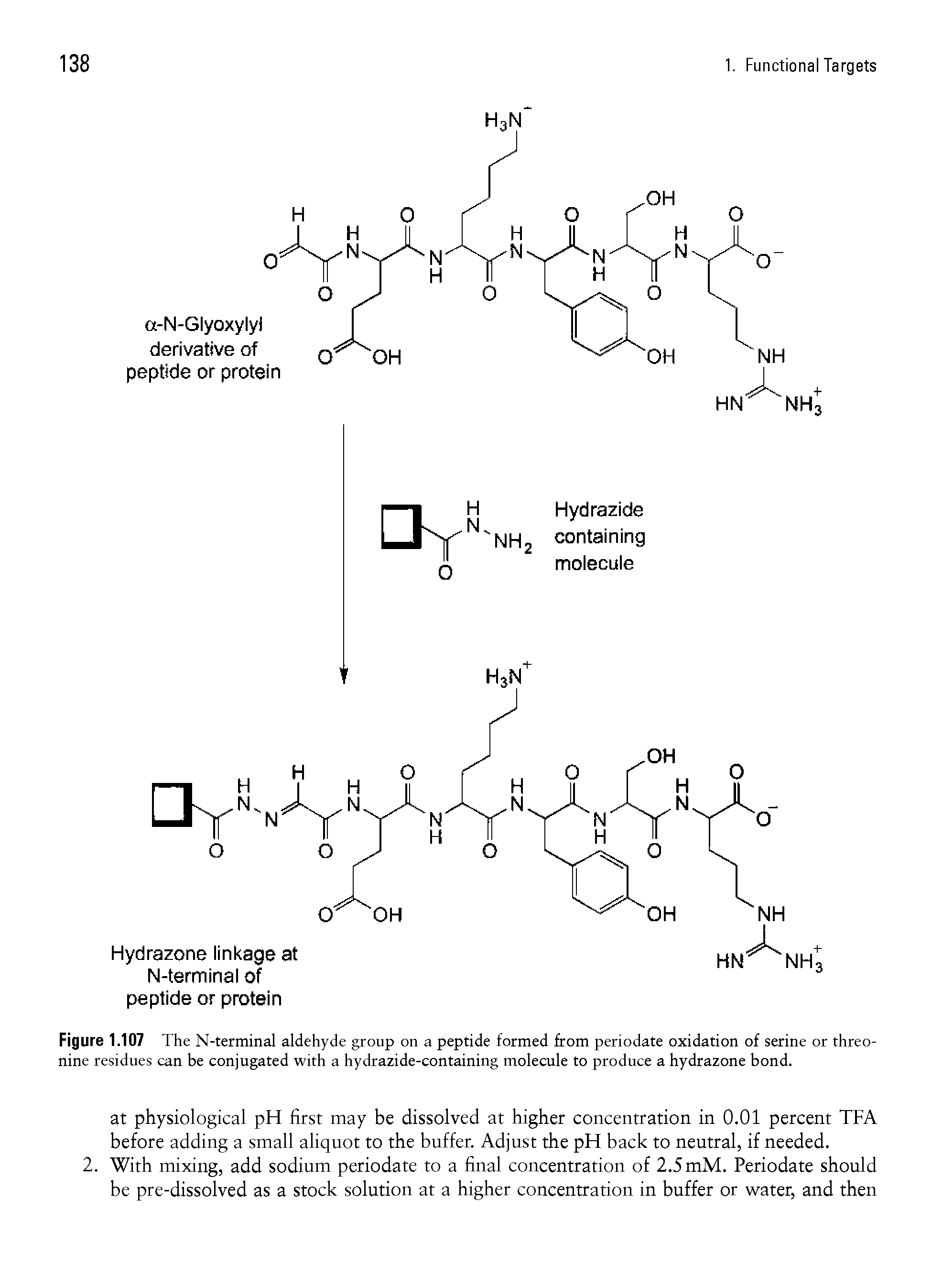 Figure 1.107 The N-terminal aldehyde group on a peptide formed from periodate oxidation of serine or threonine residues can be conjugated with a hydrazide-containing molecule to produce a hydrazone bond.