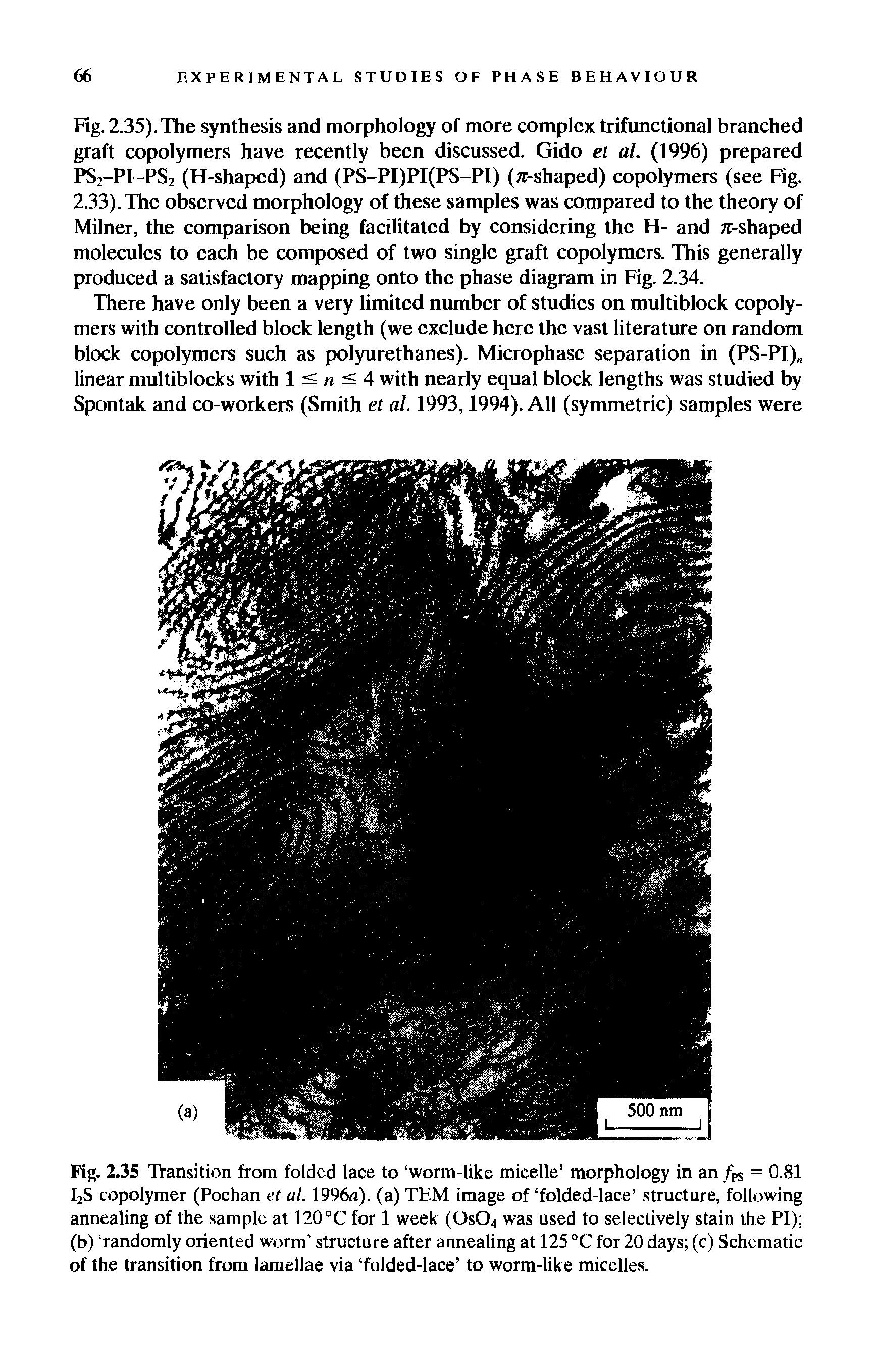 Fig. 2.35 Transition from folded lace to worm-like micelle morphology in an /PS = 0.81 I2S copolymer (Pochan et al. 1996a). (a) TEM image of folded-lace structure, following annealing of the sample at 120°C for 1 week (0s04 was used to selectively stain the PI) (b) randomly oriented worm structure after annealing at 125 °C for 20 days (c) Schematic of the transition from lamellae via folded-lace to worm-like micelles.