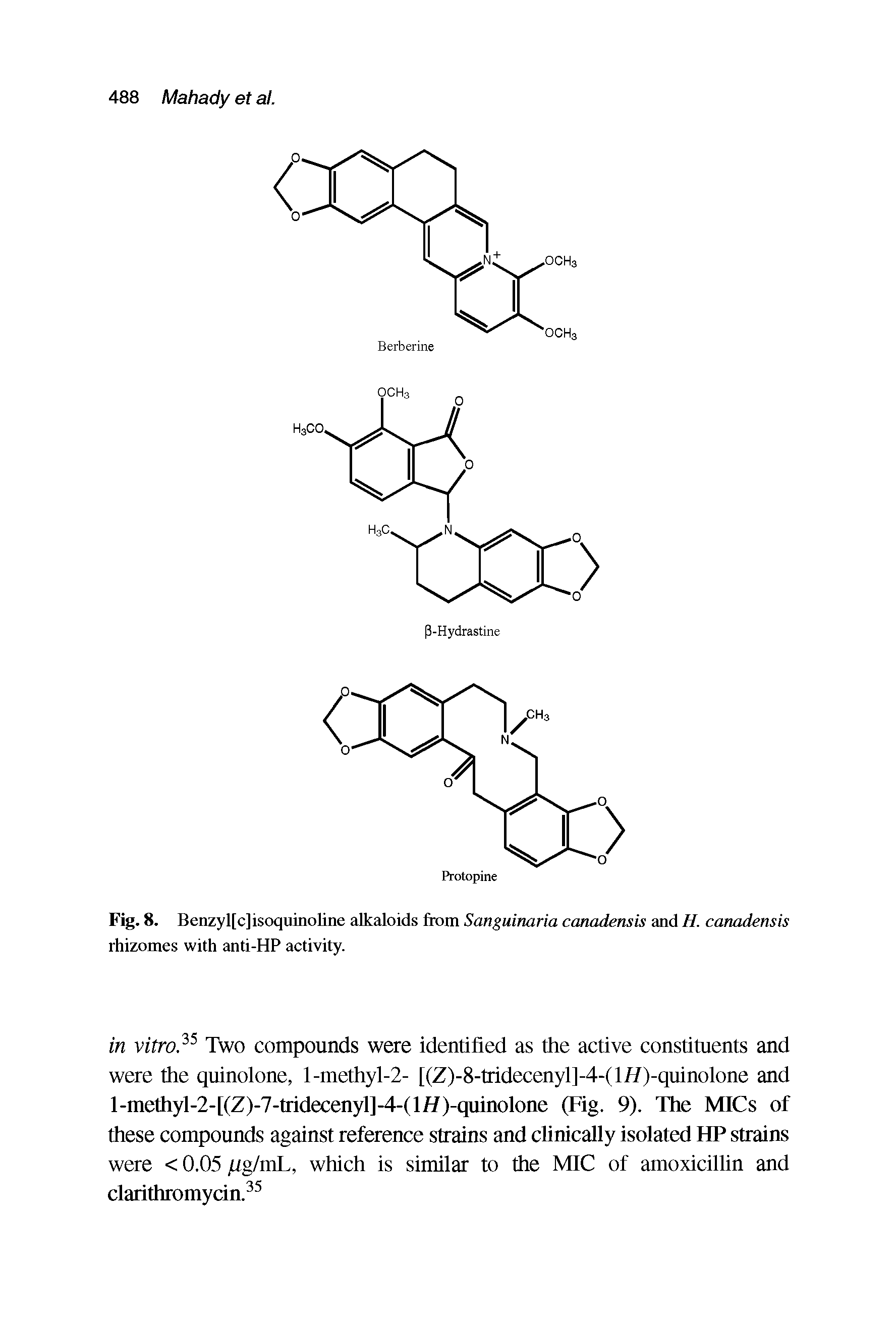 Fig. 8. Benzyl[c]isoquinoline alkaloids from Sanguinaria canadensis and H. canadensis rhizomes with anti-HP activity.