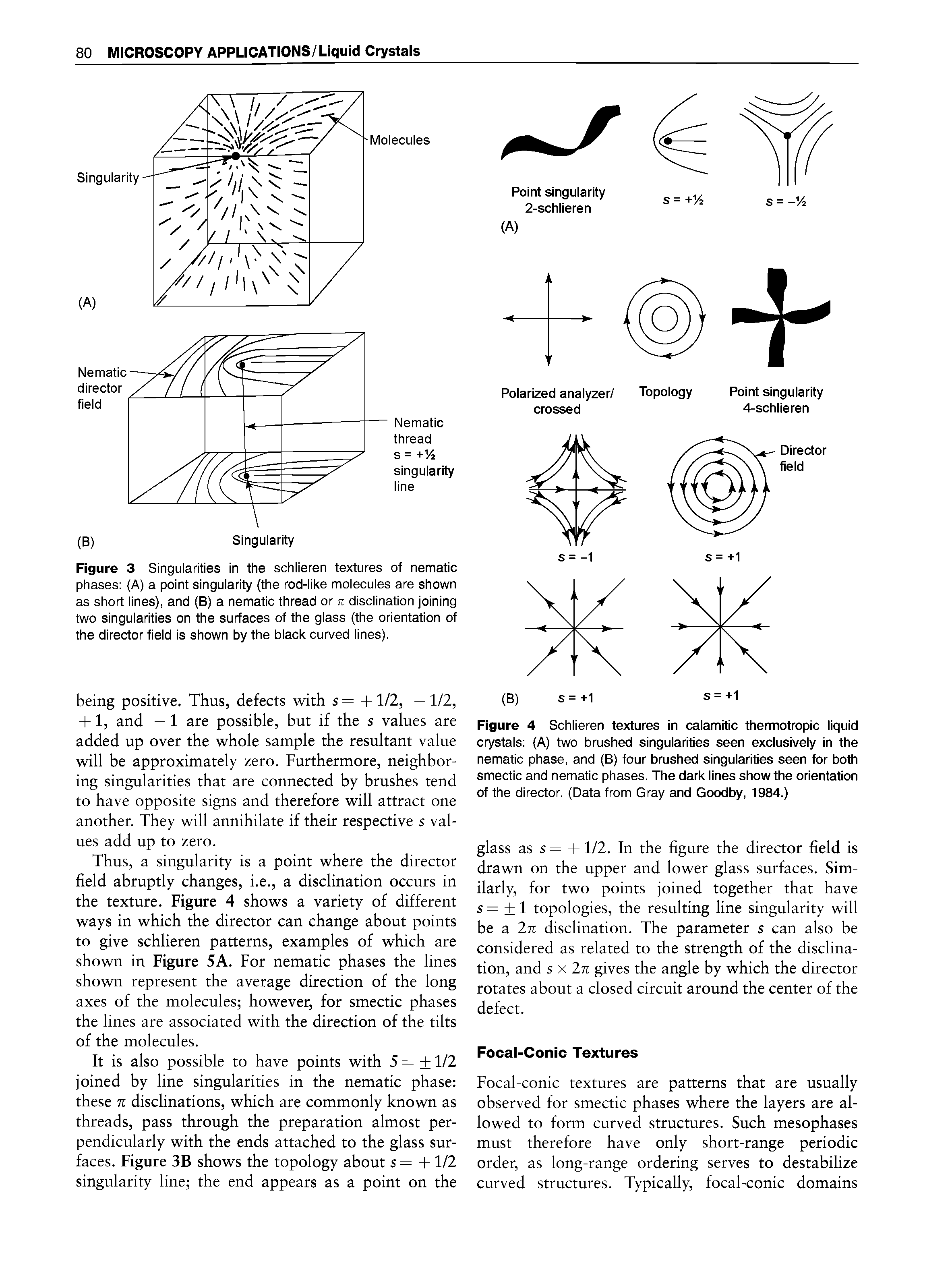 Figure 4 Schlieren textures in calamitic thermotropic liquid crystals (A) two brushed singularities seen exclusively in the nematic phase, and (B) four bmshed singularities seen for both smectic and nematic phases. The dark lines show the orientation of the director. (Data from Gray and Goodby, 1984.)...