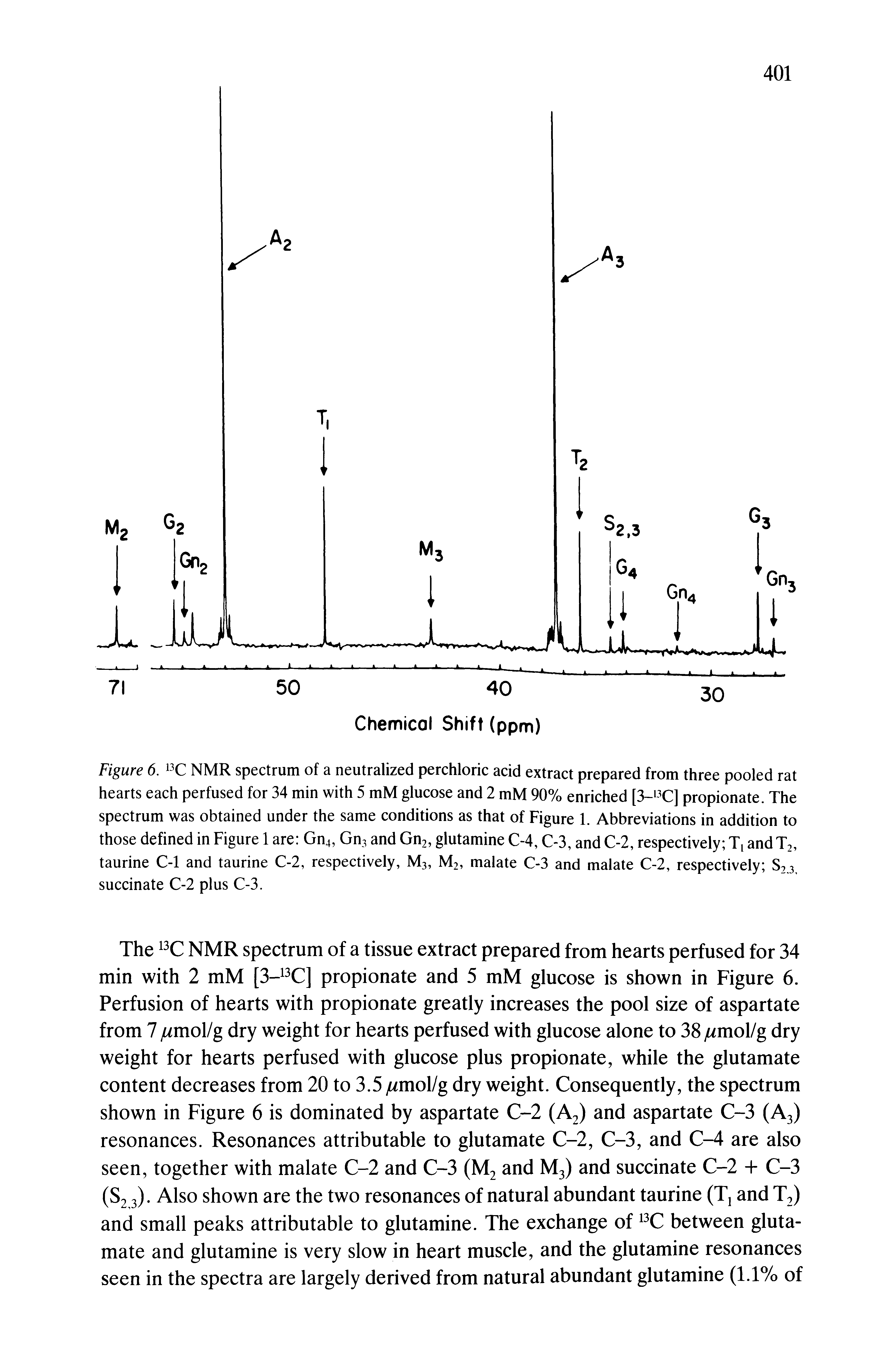 Figure 6. NMR spectrum of a neutralized perchloric acid extract prepared from three pooled rat hearts each perfused for 34 min with 5 mM glucose and 2 mM 90% enriched [3- C] propionate. The spectrum was obtained under the same conditions as that of Figure 1. Abbreviations in addition to those defined in Figure 1 are Gn4, Gnj and Gn2, glutamine C-4, C-3, and C-2, respectively T, andT2, taurine C-1 and taurine C-2, respectively, M3, M2, malate C-3 and malate C-2, respectively 87,3. succinate C-2 plus C-3.