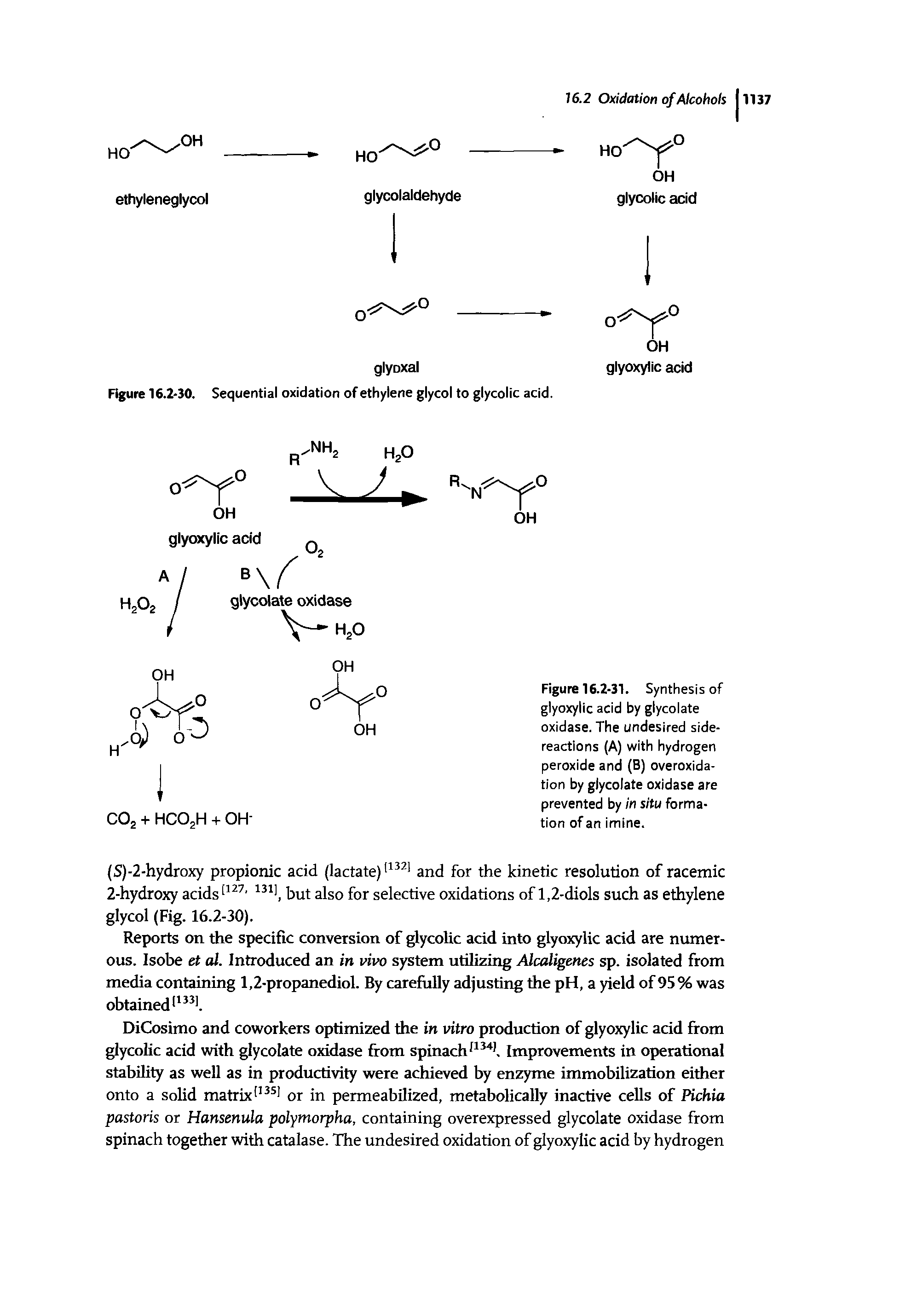 Figure 16.2-31. Synthesis of glyoxylic acid by glycolate oxidase. The undesired side-reactions (A) with hydrogen peroxide and (B) overoxidation by glycolate oxidase are prevented by in situ formation of an imine.