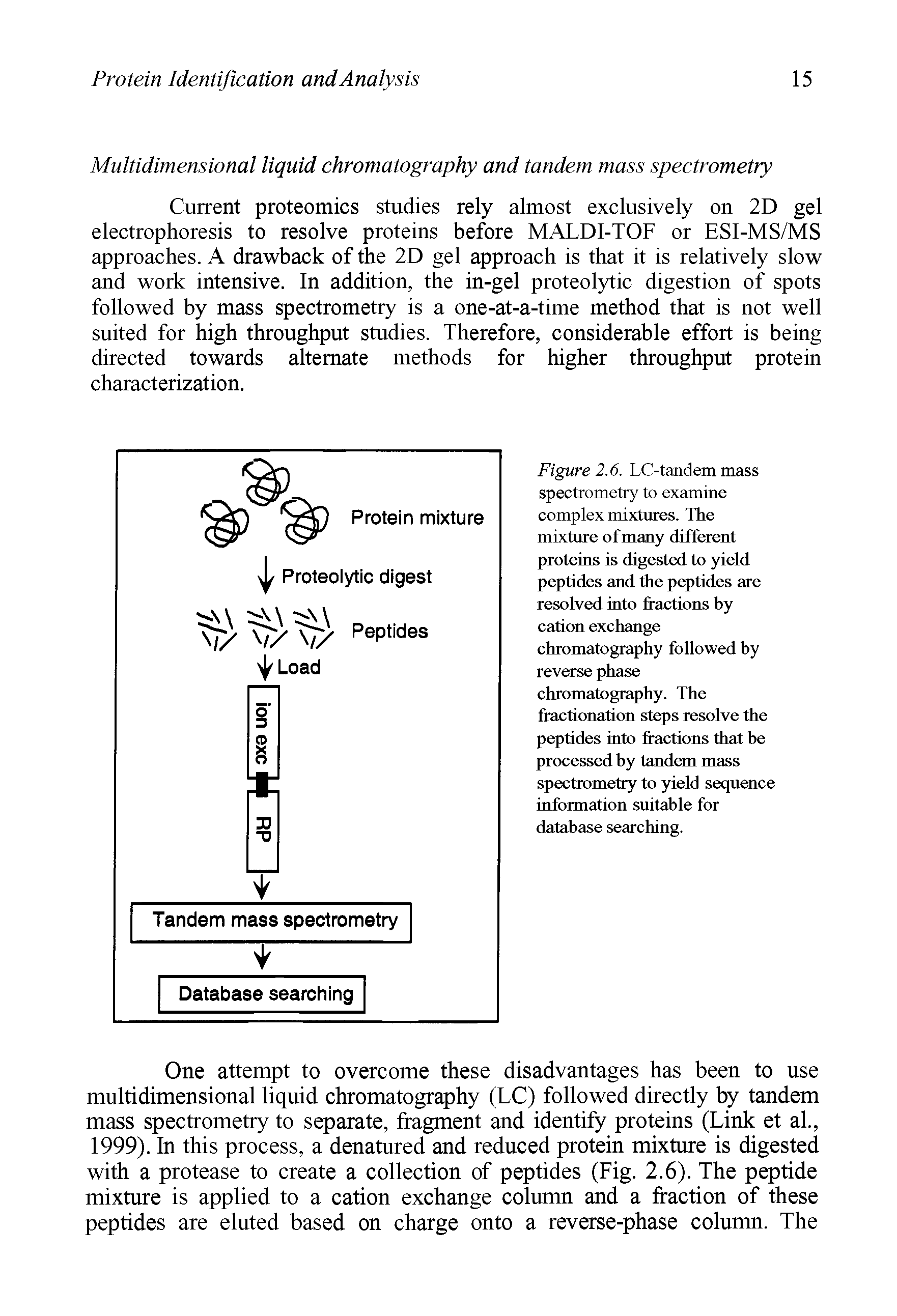 Figure 2.6. LC-tandem mass spectrometry to examine complex mixtures. The mixture of many different proteins is digested to yield peptides and the peptides are resolved into fractions hy cation exchange chromatography followed by reverse phase chromatography. The fractionation steps resolve the peptides into fractions that he processed hy tandem mass spectrometry to yield sequence information suitable for database searching.