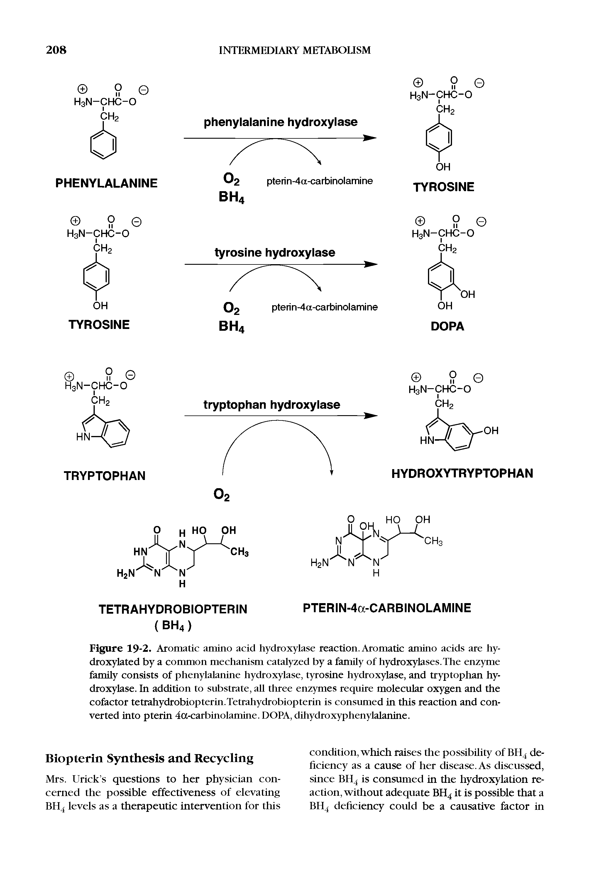 Figure 19-2. Aromatic amino acid hydroxylase reaction. Aromatic amino acids are hy-droxylated by a common mechanism catalyzed by a family of hydroxylases.The enzyme family consists of phenylalanine hydroxylase, tyrosine hydroxylase, and tryptophan hydroxylase. In addition to substrate, all three enzymes require molecular oxygen and the cofactor tetrahydrobiopterin.Tetrahydrobiopterin is consumed in this reaction and converted into pterin 4cx-carbinolamine. DOPA, dihydroxyphenylalanine.