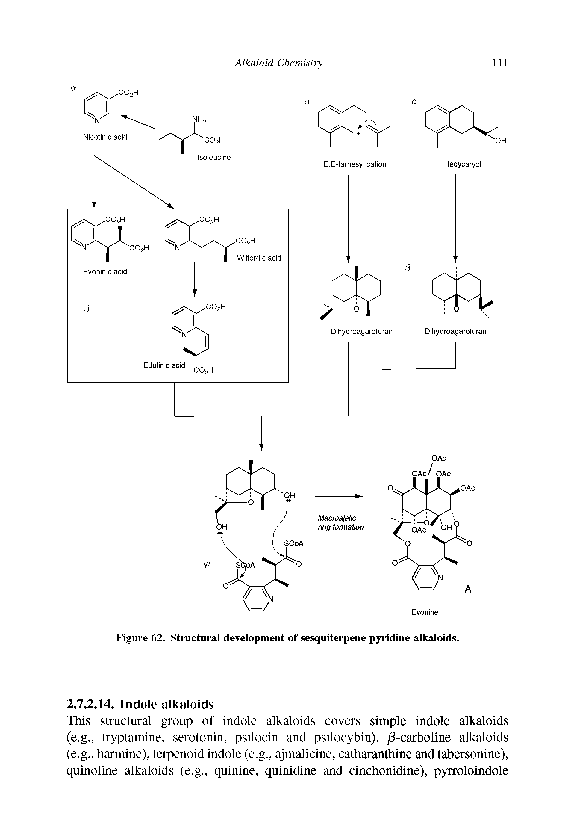Figure 62. Structural development of sesquiterpene pyridine alkaloids.