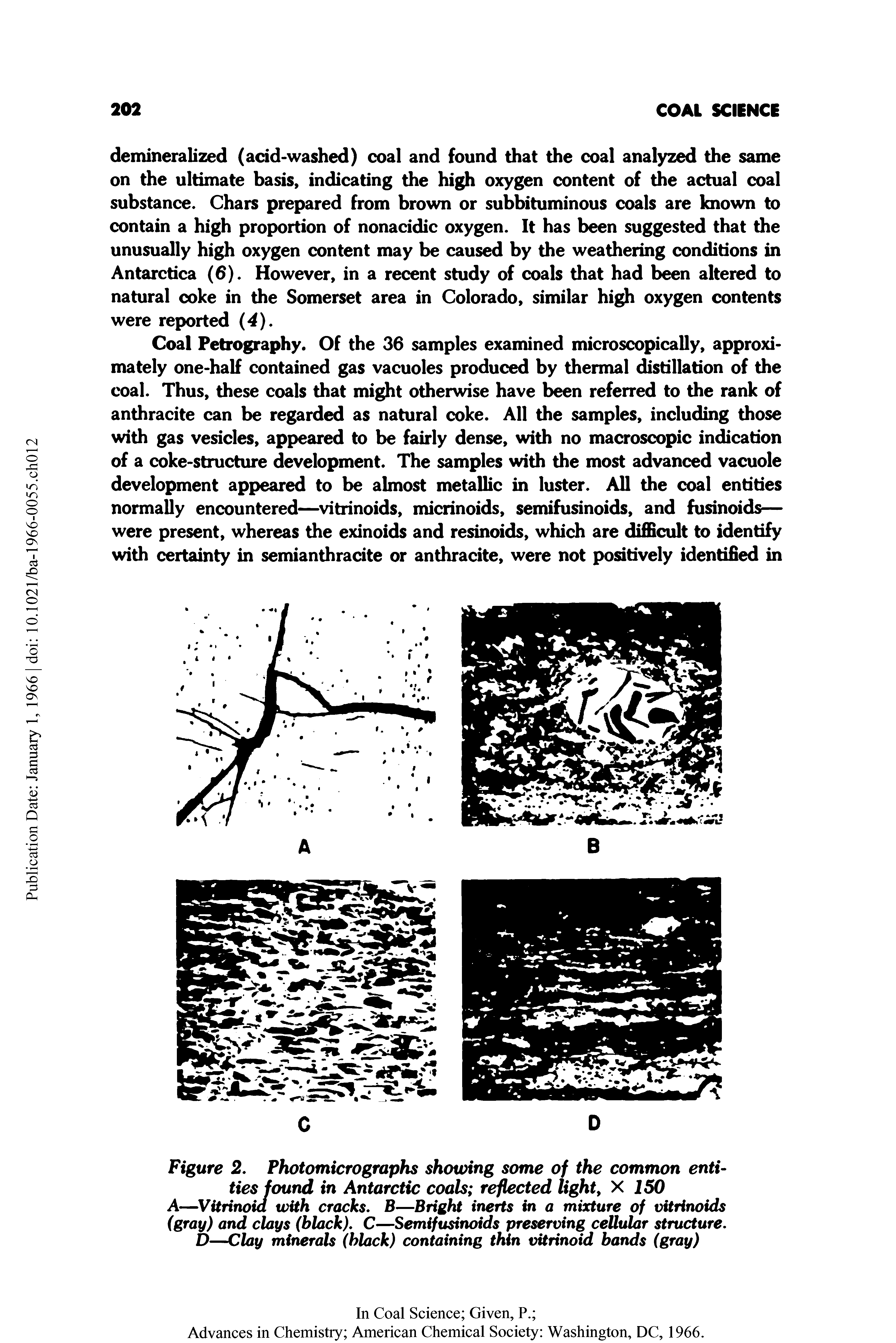 Figure 2. Photomicrographs showing some of the common entities found in Antarctic coals reflected light, X 150 A—Vitrinoia with cracks. B—Bright inerts in a mixture of vitrinoids (gray) and clays (black), C—Semifusinoids preserving cellular structure. D—Clay minerals (black) containing thin vitrinoid bands (gray)...