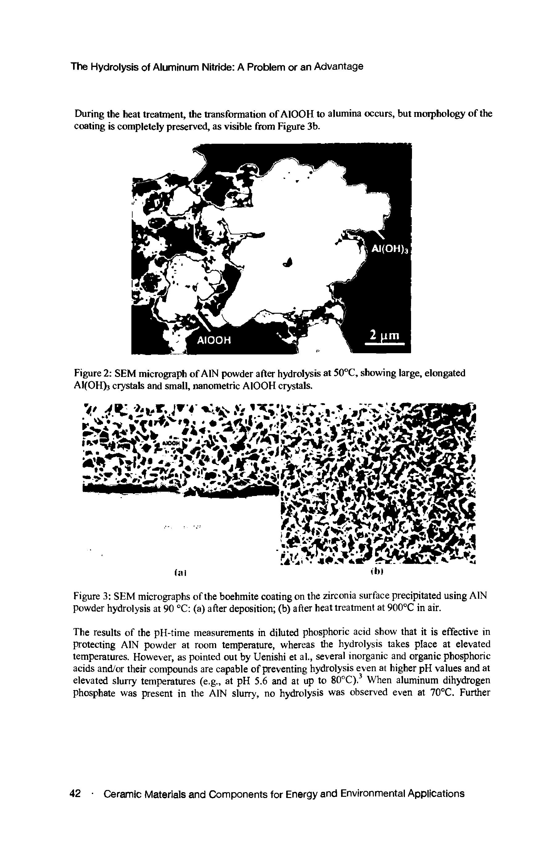 Figure 3 SEM micrographs of the boehmite coating on the zirconia surface precipitated using AIN powder hydrolysis at 90 °C (a) after deposition (b) after heat treatment at 900°C in air.
