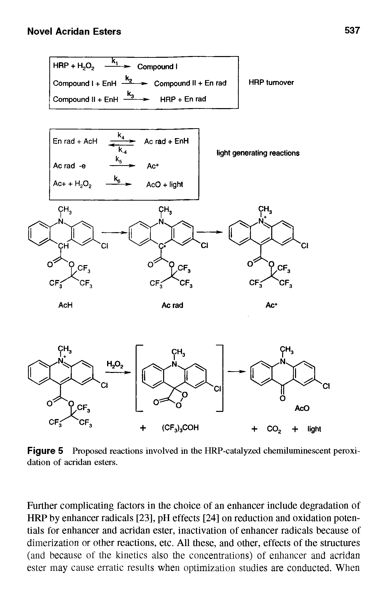Figure 5 Proposed reactions involved in the HRP-catalyzed chemiluminescent peroxidation of acridan esters.