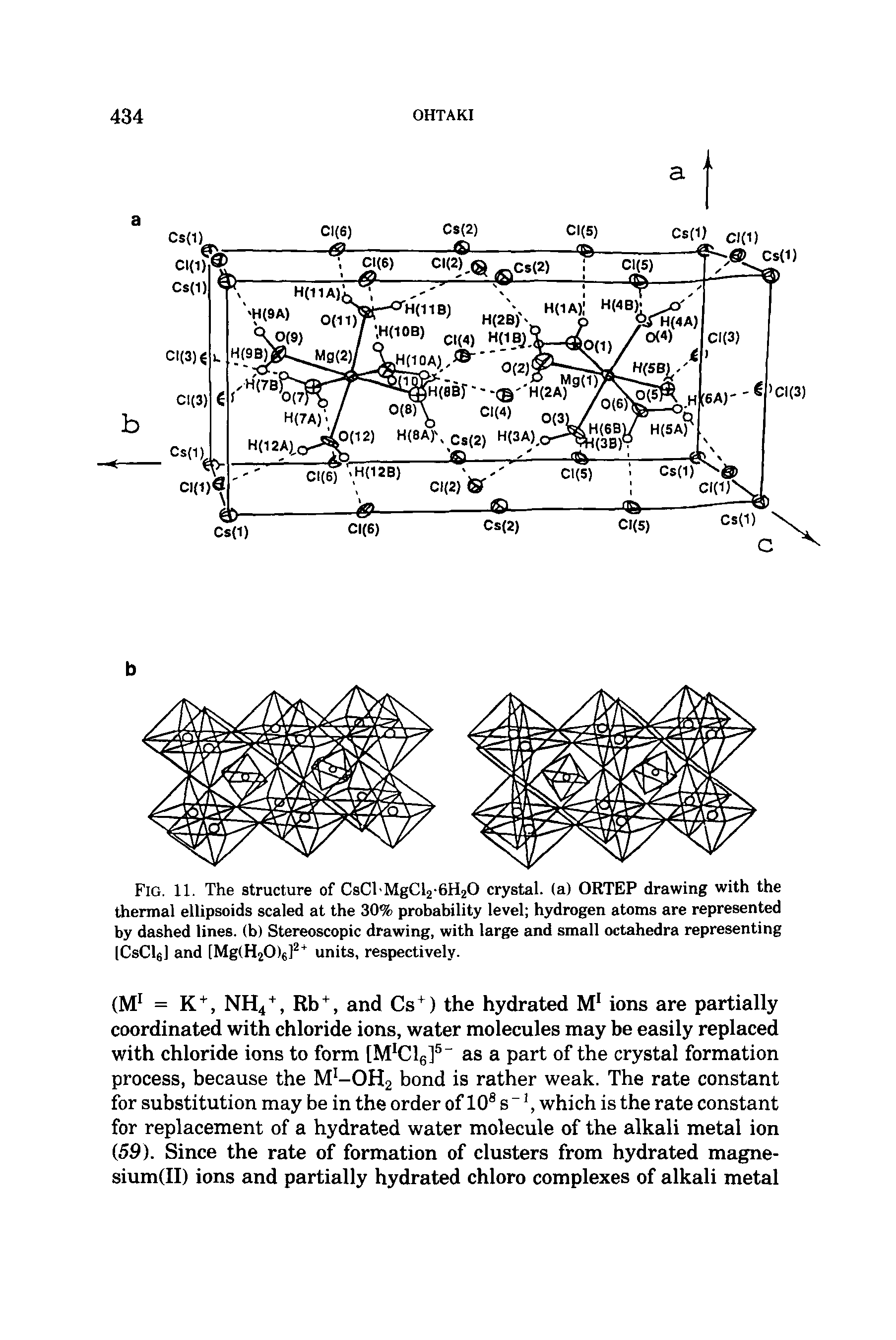 Fig. 11. The structure of CsCl MgCl2-6H20 crystal, (a) ORTEP drawing with the thermal ellipsoids scaled at the 30% probability level hydrogen atoms are represented by dashed lines, (b) Stereoscopic drawing, with large and small octahedra representing ICsClg] and [Mg(H20)6]2+ units, respectively.