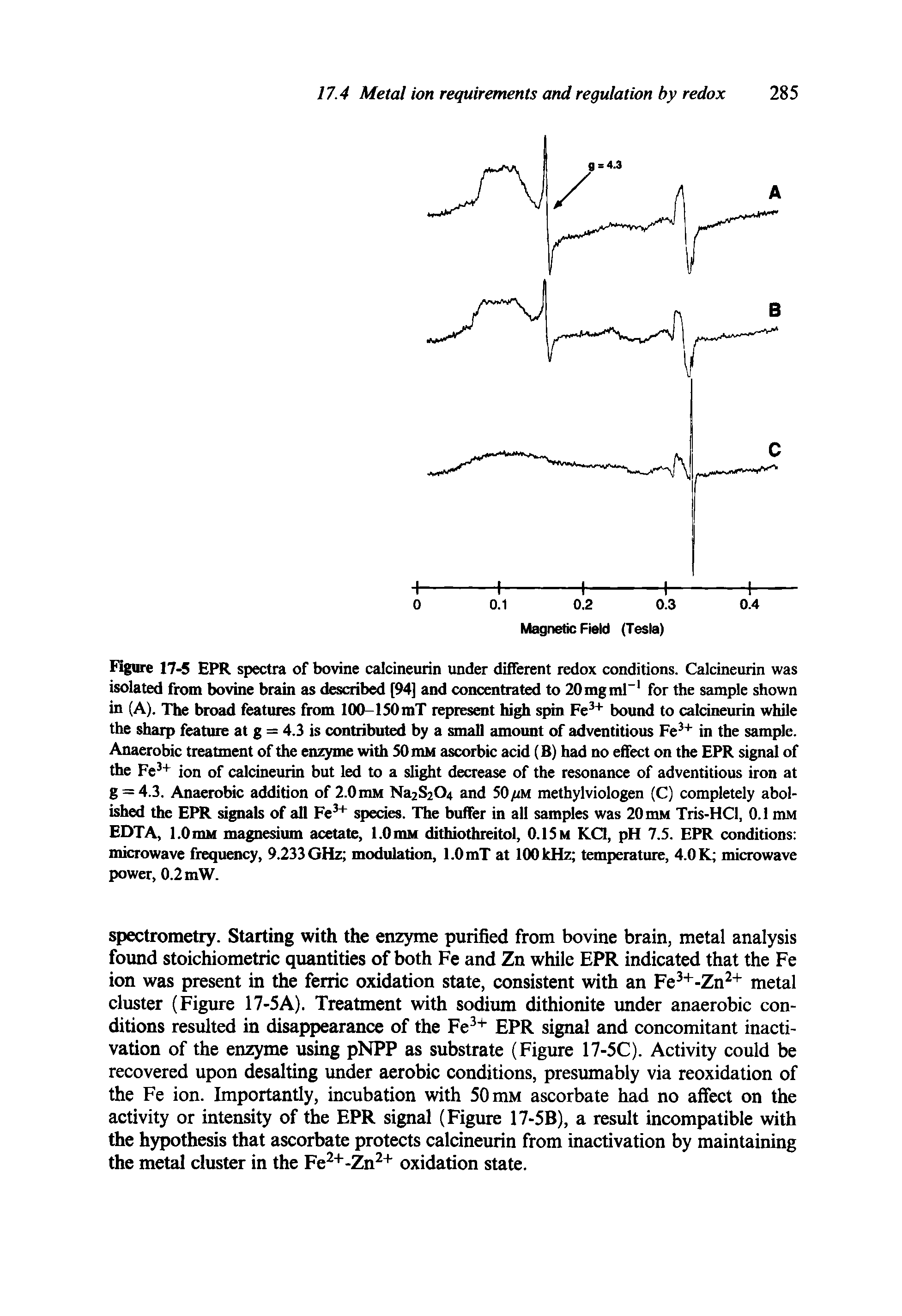 Figure 17-5 EPR spectra of bovine calcineurin under different redox conditions. Calcineurin was isolated from bovine brain as described [94] and concentrated to 20mgml for the sample shown in (A). The broad features from 100-150mT represent high spin Fe + bound to calcineurin while the sharp feature at g = 4.3 is contributed by a small amount of adventitious Fe " in the sample. Anaerobic treatment of the enzyme with SOmM ascorbic acid (B) had no effect on the EPR signal of the Fe + ion of calcineurin but led to a slight decrease of the resonance of adventitious iron at g = 4.3. Anaerobic addition of 2.0mM Na2S204 and 50/xM methylviologen (C) completely abolished the EPR signals of all Fe + species. The buffer in all samples was 20 mM Tris-HCl, 0.1 niM EDTA, l.OmM magnesium acetate, l.OmM dithiothreitol, 0.15m KCl, pH 7.5. EPR conditions microwave frequency, 9.233 GHz modulation, 1.0 mT at 100 kHz temperature, 4.0 K microwave power, 0.2 mW.