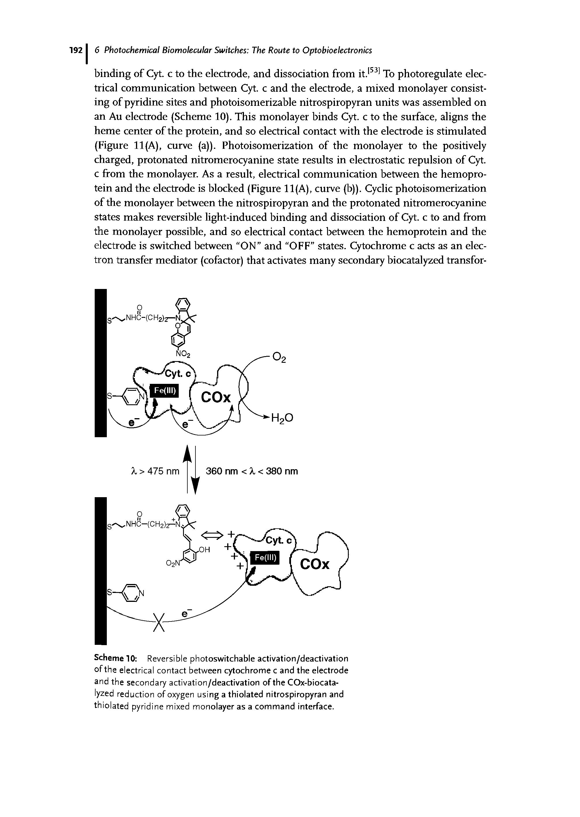 Scheme 10 Reversible photoswitchable activation/deactivation of the electrical contact between cytochrome c and the electrode and the secondary activation/deactivation of the COx-biocata-lyzed reduction of oxygen using a thiolated nitrospiropyran and thiolated pyridine mixed monolayer as a command interface.