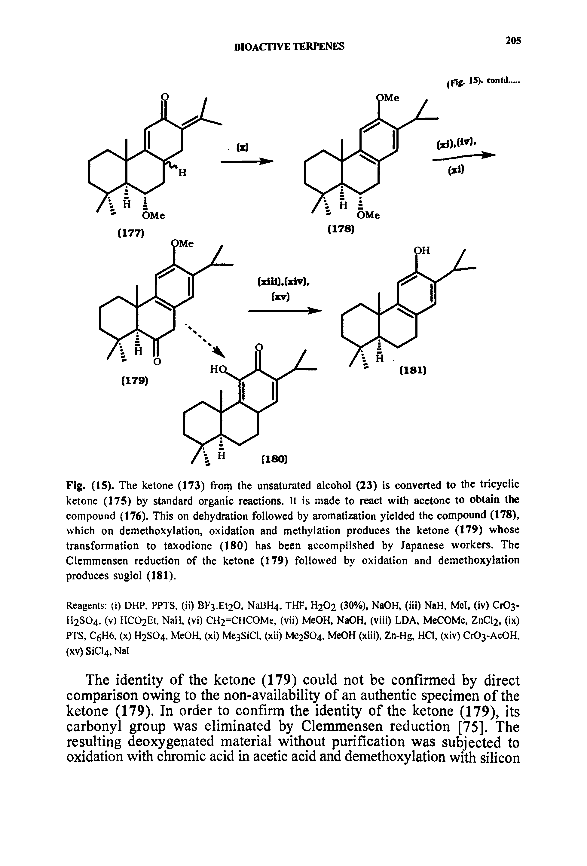 Fig. (15). The ketone (173) from the unsaturated alcohol (23) is converted to the tricyclic ketone (175) by standard organic reactions. It is made to react with acetone to obtain the compound (176). This on dehydration followed by aromatization yielded the compound (178), which on demethoxylation, oxidation and methylation produces the ketone (179) whose transformation to taxodione (180) has been accomplished by Japanese workers. The Clemmensen reduction of the ketone (179) followed by oxidation and demethoxylation produces sugiol (181).