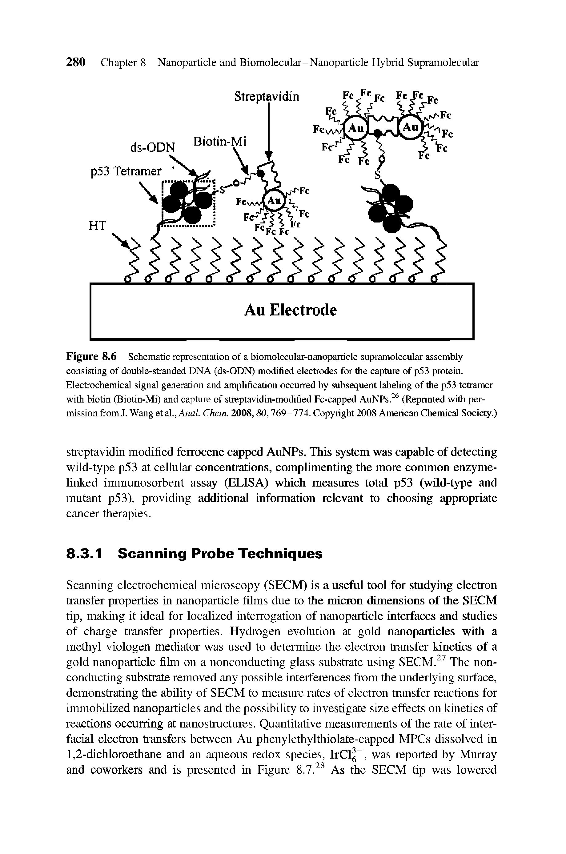 Figure 8.6 Schematic representation of a biomolecular-nanoparticle supramolecular assembly consisting of double-stranded DNA (ds-ODN) modified electrodes for the capture of p53 protein. Electrochemical signal generation and amplification occurred by subsequent labeling of the p53 tetramer with biotin (Biotin-Mi) and capture of streptavidin-modified Fc-capped AuNPs.26 (Reprinted with permission from J. Wang et al., Anal. Chem. 2008,80,769 -774. Copyright 2008 American Chemical Society.)...