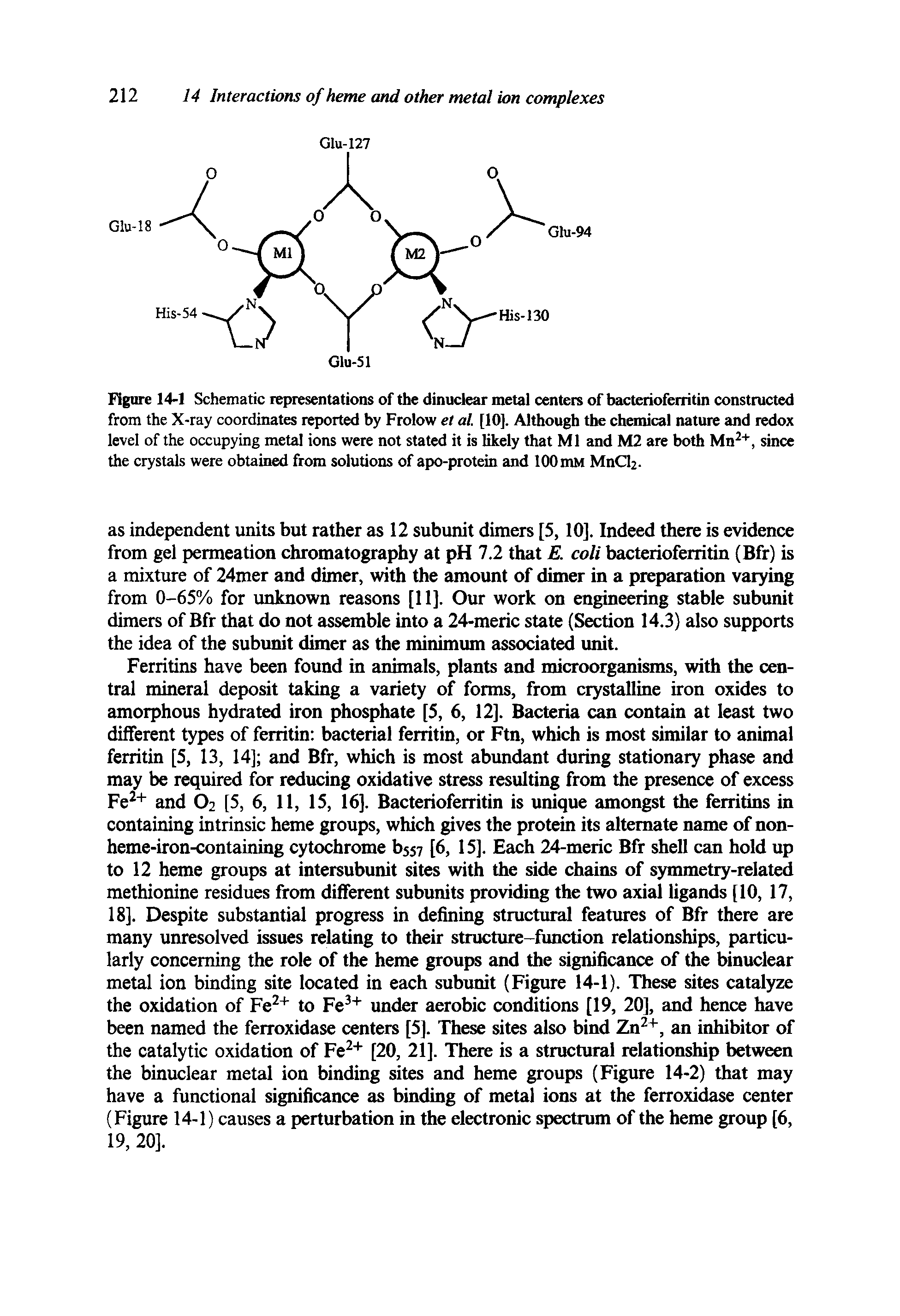 Figure 14-1 Schematic representations of the dinuclear metal centers of bacterioferritin constructed from the X-ray coordinates reported by Frolow et al. [10]. Although the chemical nature and redox level of the occupying metal ions were not stated it is likely that Ml and M2 are both Mn ", since the crystals were obtained from solutions of apo-protein and lOOmM MnCl2-...