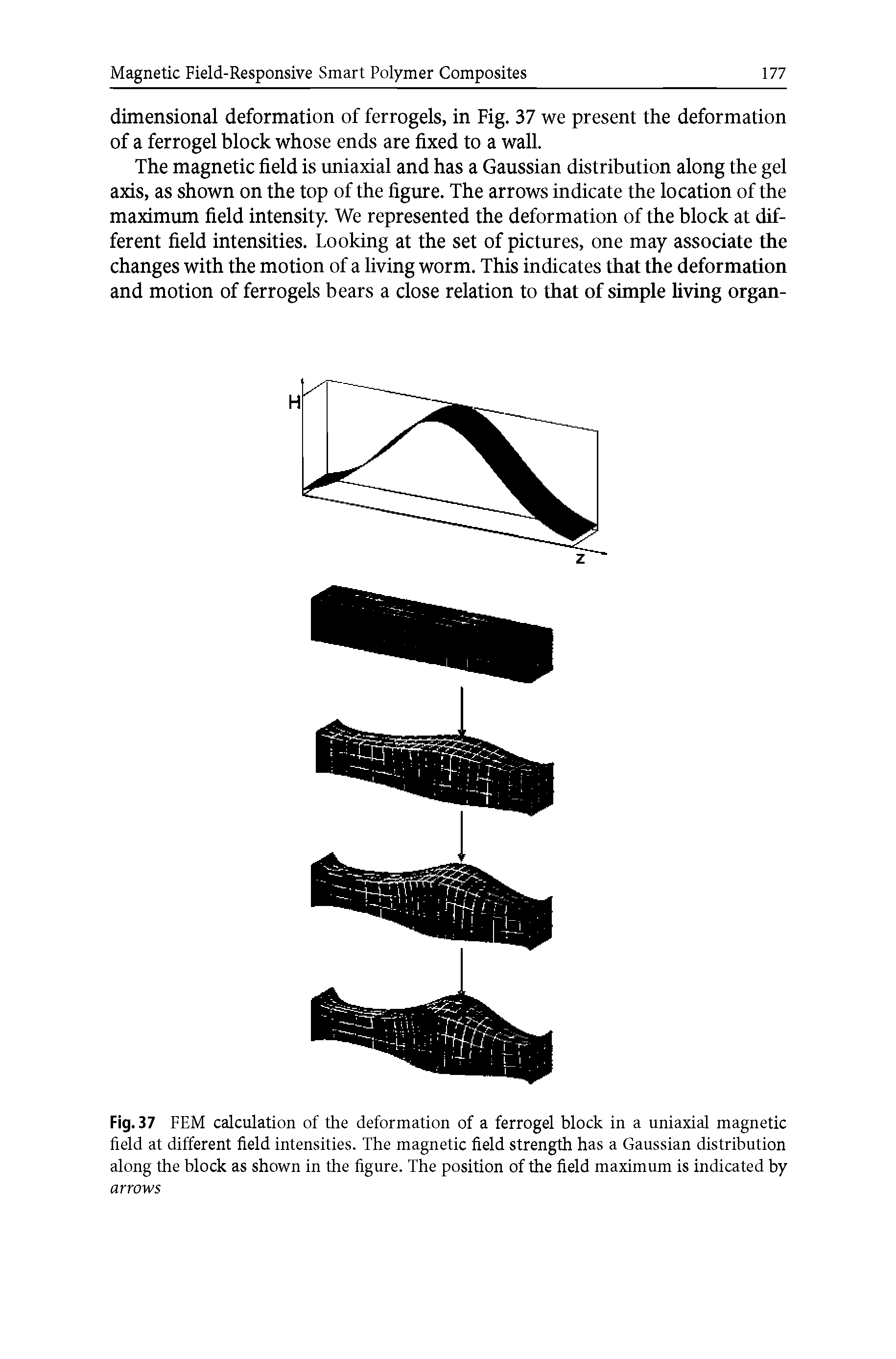 Fig.37 FEM calculation of the deformation of a ferrogel block in a uniaxial magnetic field at different field intensities. The magnetic field strength has a Gaussian distribution along the block as shown in the figure. The position of the field maximum is indicated by arrows...