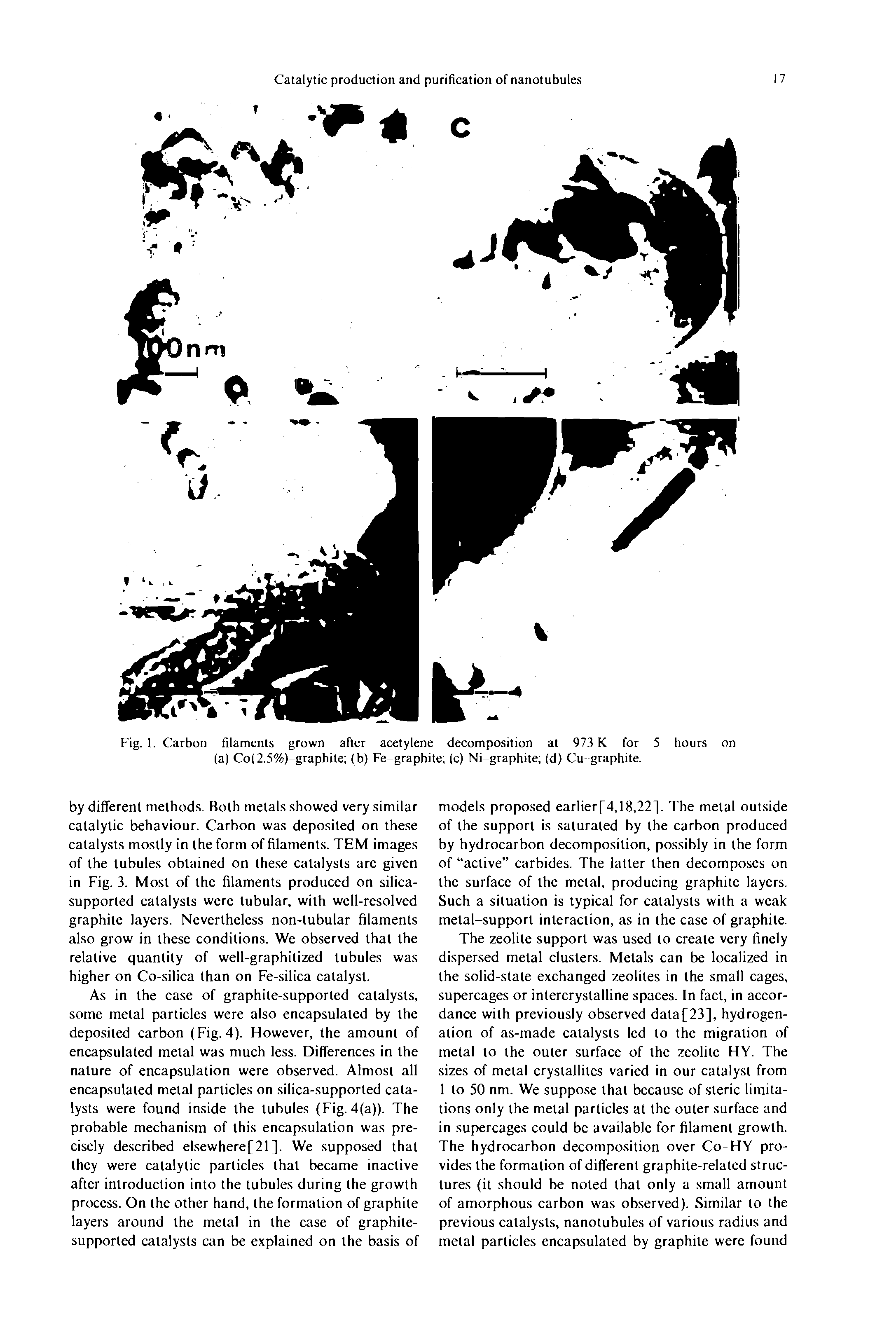 Fig. 1. Carbon filaments grown after acetylene decomposition at 973 K for 5 hours on (a) Co(2.5%)-graphite (b) Fe-graphite (c) Ni-graphite (d) Cu graphite.