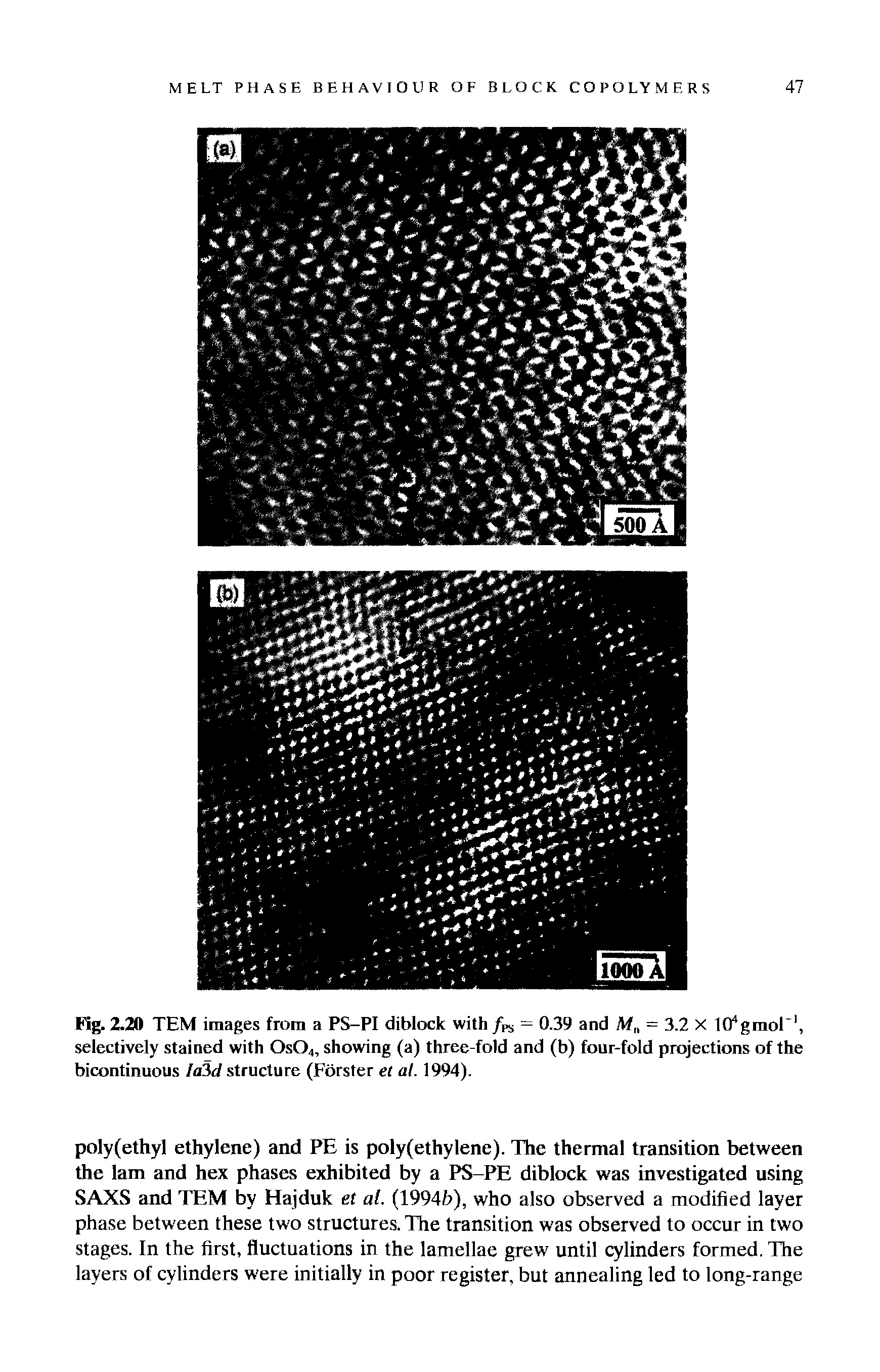 Fig. 2.20 TEM images from a PS-PI diblock with = 0.39 and M = 3.2 X Kfgmol"1, selectively stained with 0s04, showing (a) three-fold and (b) four-fold projections of the bicontinuous laSd structure (Forster et al. 1994).