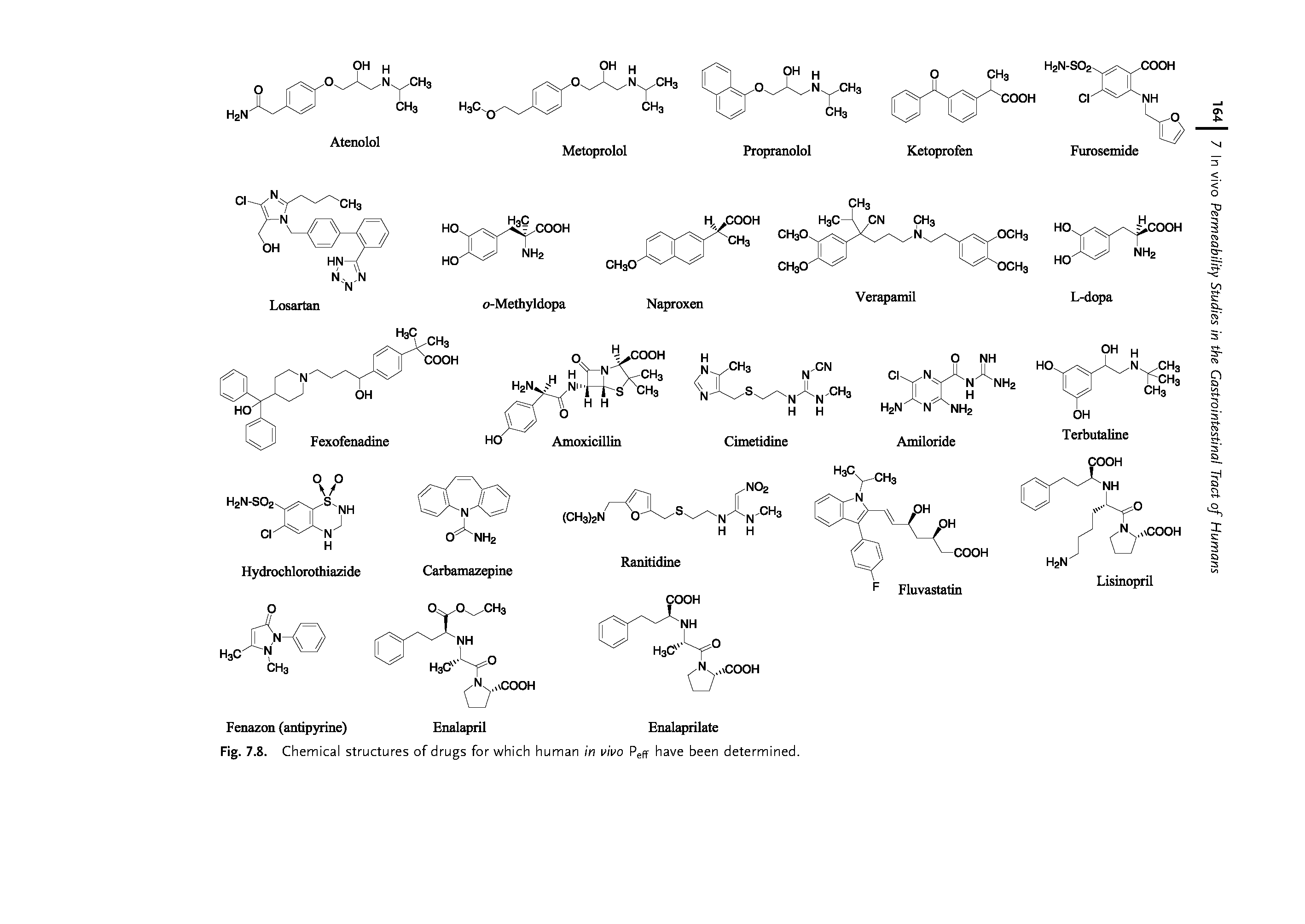 Fig. 7.8. Chemical structures of drugs for which human in vivo Peff have been determined.