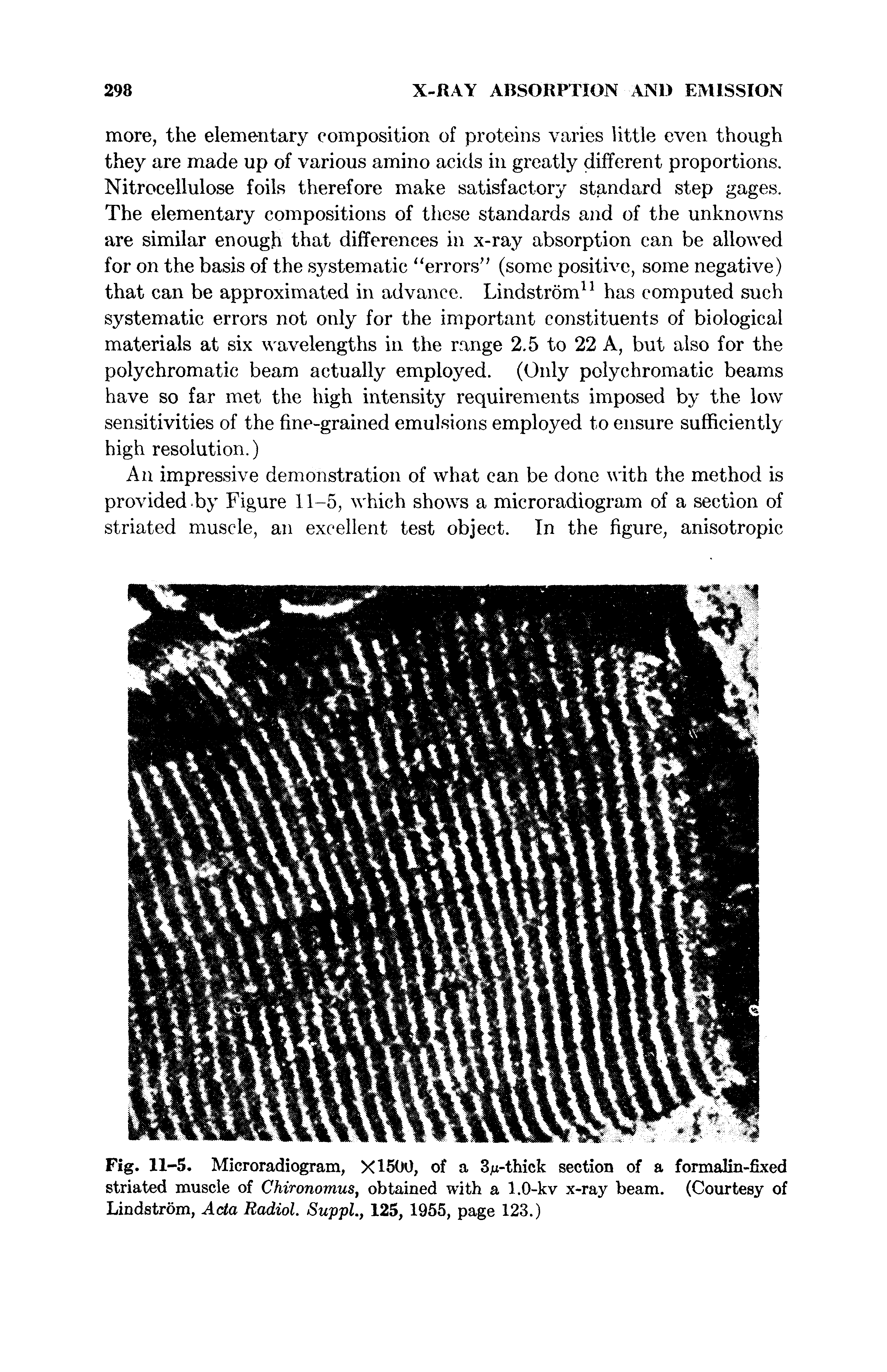 Fig. 11-5. Microradiogram, X1500, of a 3thick section of a formalin-fixed striated muscle of Chironomus, obtained with a 1.0-kv x-ray beam. (Courtesy of Lindstrom, Acta Radiol. Suppl., 125, 1955, page 123.)...