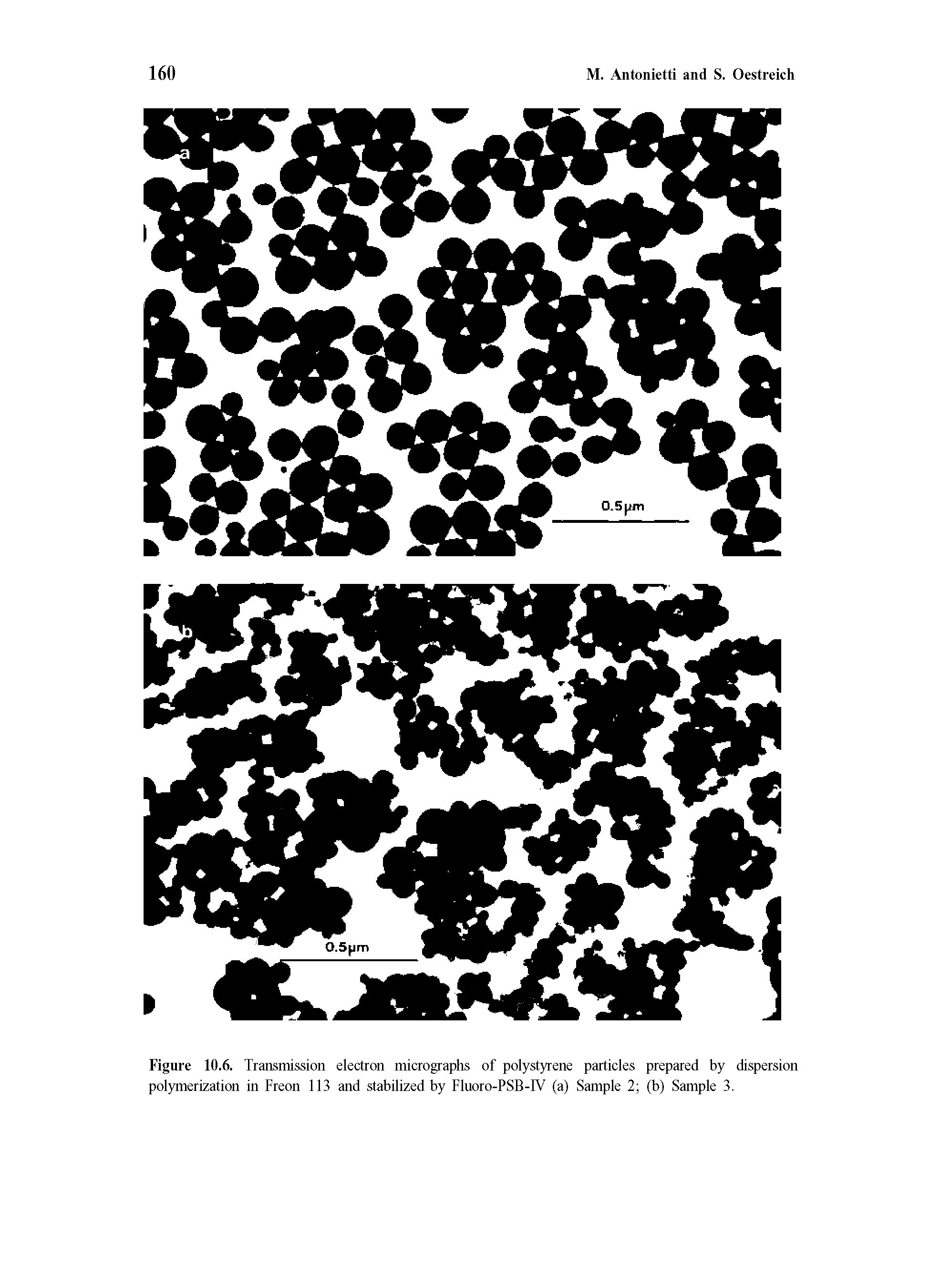 Figure 10.6. Transmission electron micrographs of polystyrene particles prepared by dispersion polymerization in Freon 113 and stabilized by Fluoro-PSB-IV (a) Sample 2 (b) Sample 3.