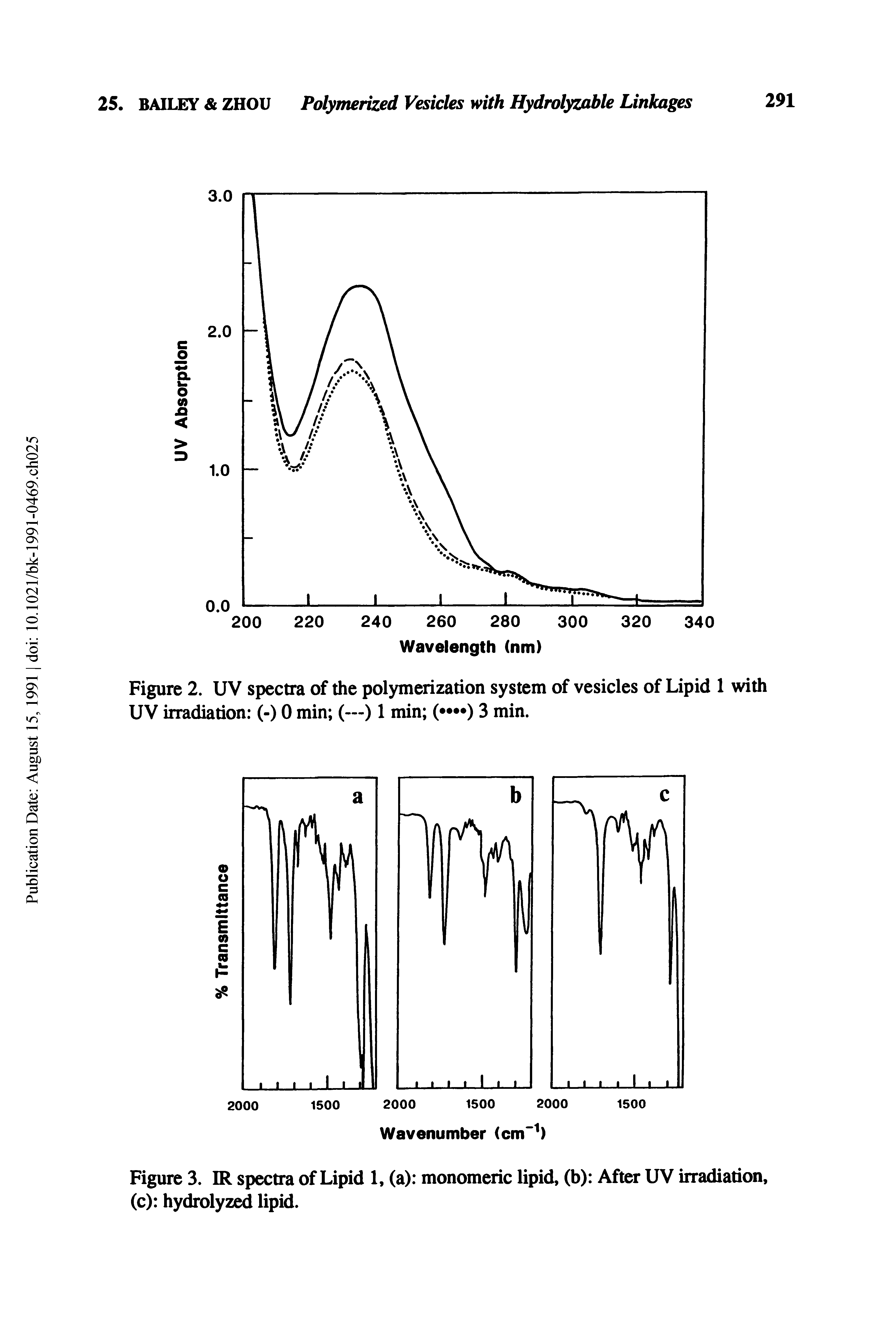 Figure 3. IR spectra of Lipid 1, (a) monomeric lipid, (b) After UV irradiation, (c) hydrolyzed lipid.