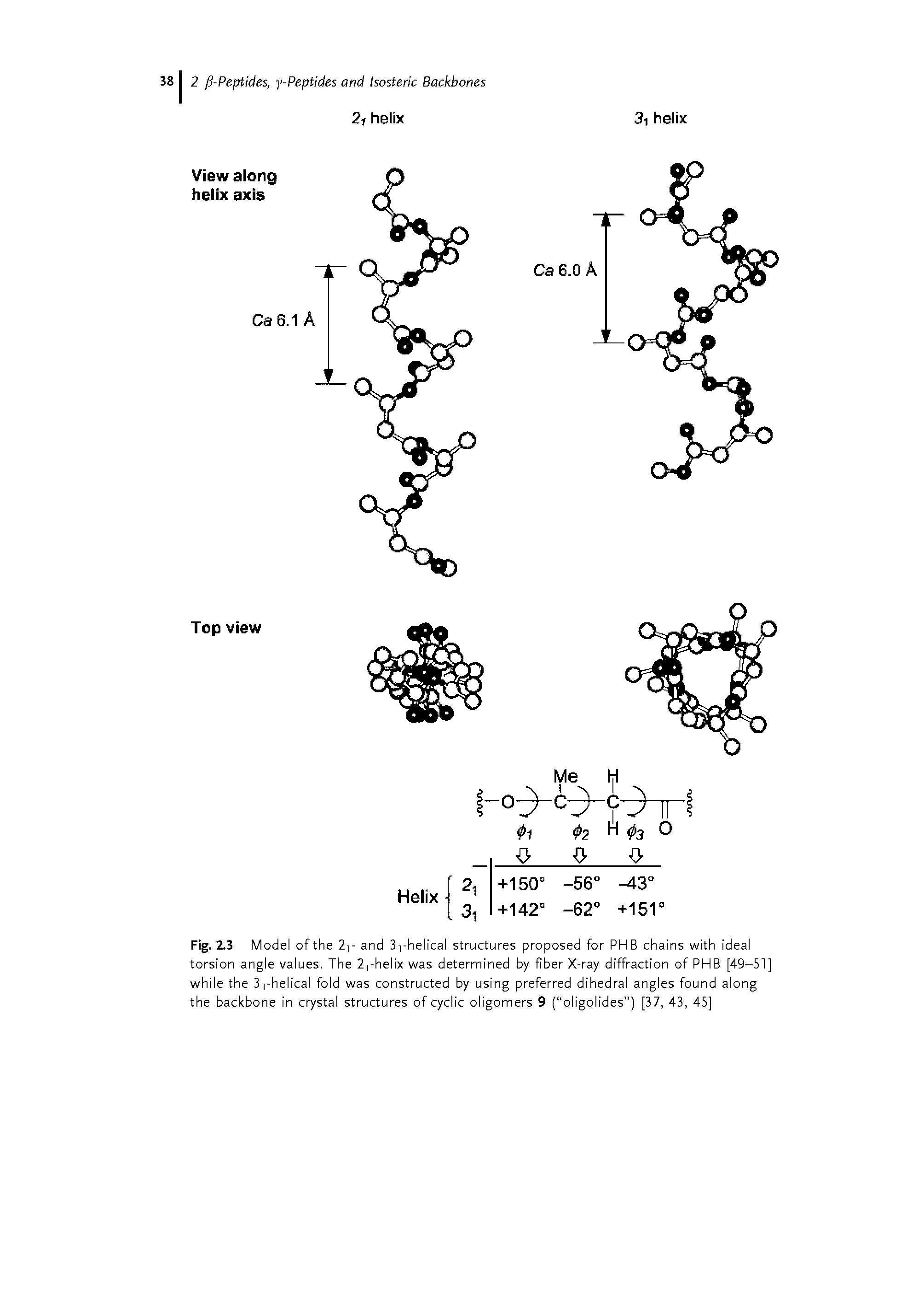 Fig. 2.3 Model of the 2i- and 3i-helical structures proposed for PHB chains with ideal torsion angle values. The 2i-helix was determined by fiber X-ray diffraction of PHB [49-51] while the 3i-helical fold was constructed by using preferred dihedral angles found along the backbone in crystal structures of cyclic oligomers 9 ( oligolides ) [37, 43, 45]...