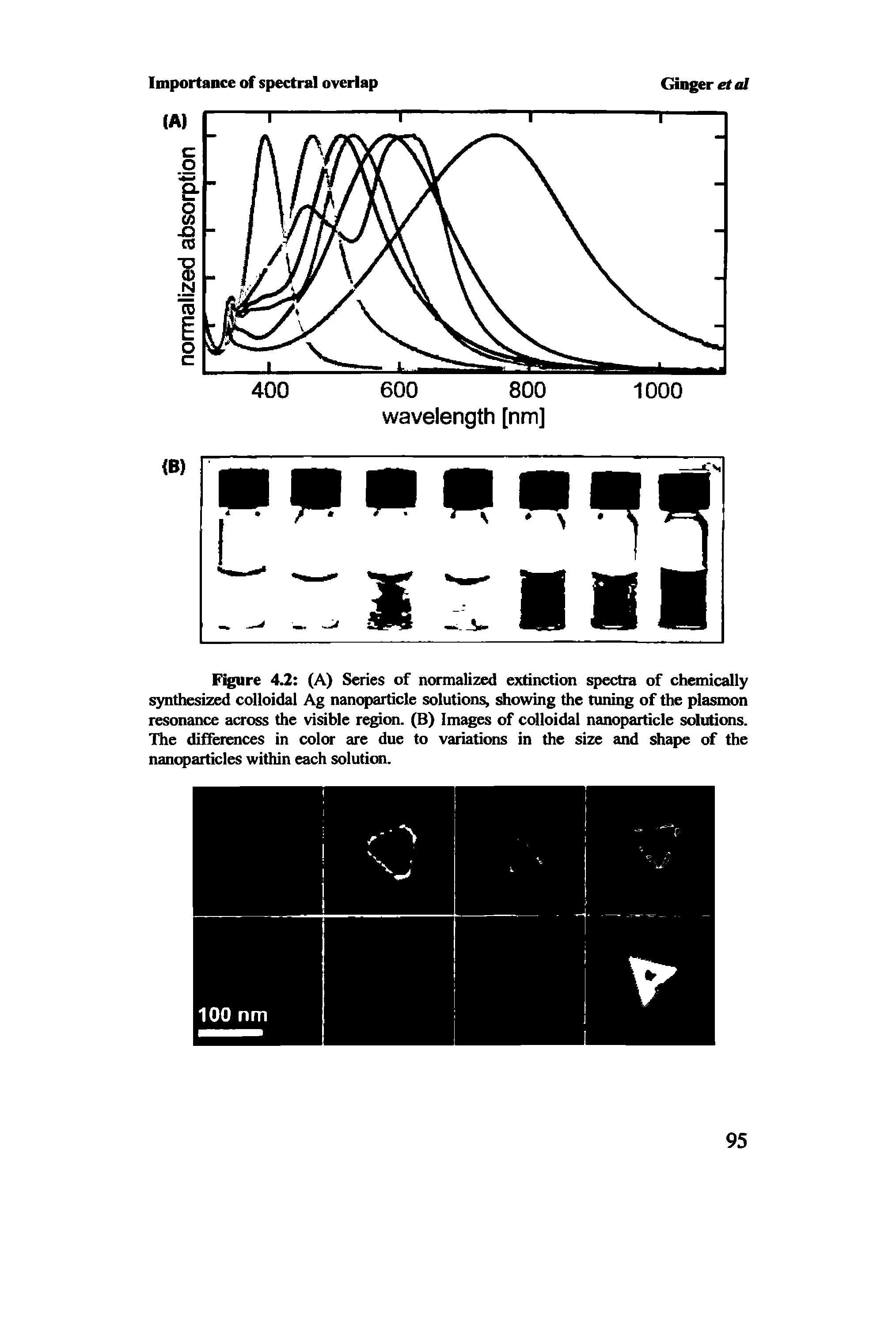 Figure 4.2 (A) Series of normalized extinction spectra of chemically synthesized colloidal Ag nanoparticle solution showing the tuning of the plasmon resonance across the visible region. (B) Images of colloidal nanoparticle solutions. The differences in color are due to variations in the size and shape of the nanoparticles within each solution.