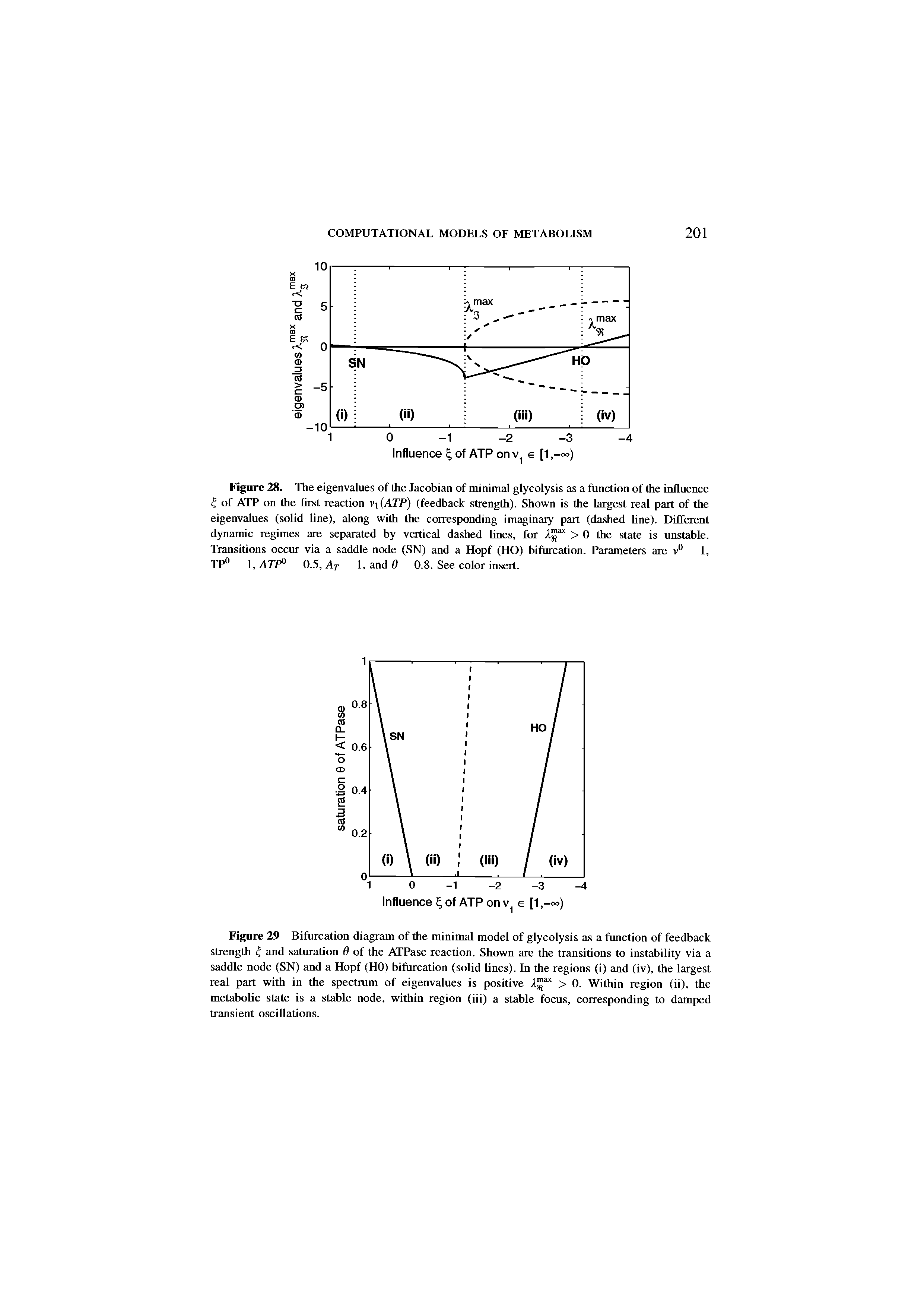 Figure 29 Bifurcation diagram of the minimal model of glycolysis as a function of feedback strength and saturation 6 of the ATPase reaction. Shown are the transitions to instability via a saddle node (SN) and a Hopf (HO) bifurcation (solid lines). In the regions (i) and (iv), the largest real part with in the spectrum of eigenvalues is positive > 0. Within region (ii), the metabolic state is a stable node, within region (iii) a stable focus, corresponding to damped transient oscillations.