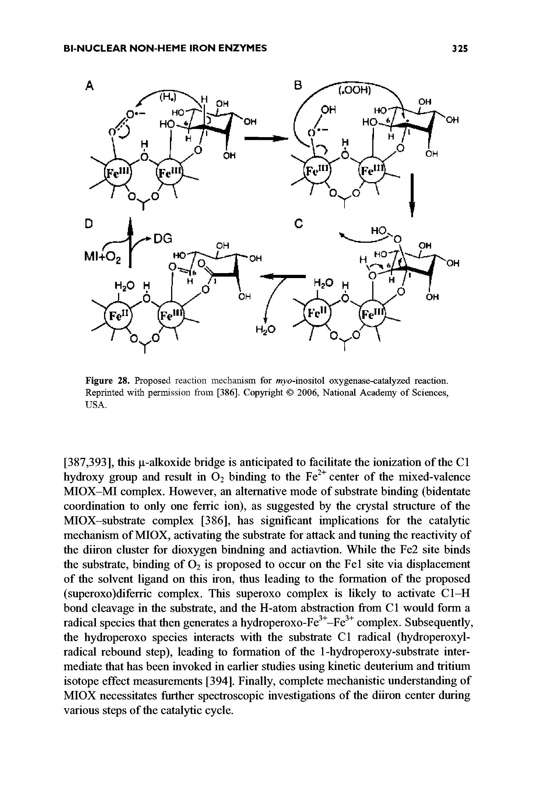 Figure 28. Proposed reaction mechanism for myo-inositol oxygenase-catalyzed reaction. Reprinted with permission from [386], Copyright 2006, Nationai Academy of Sciences,...