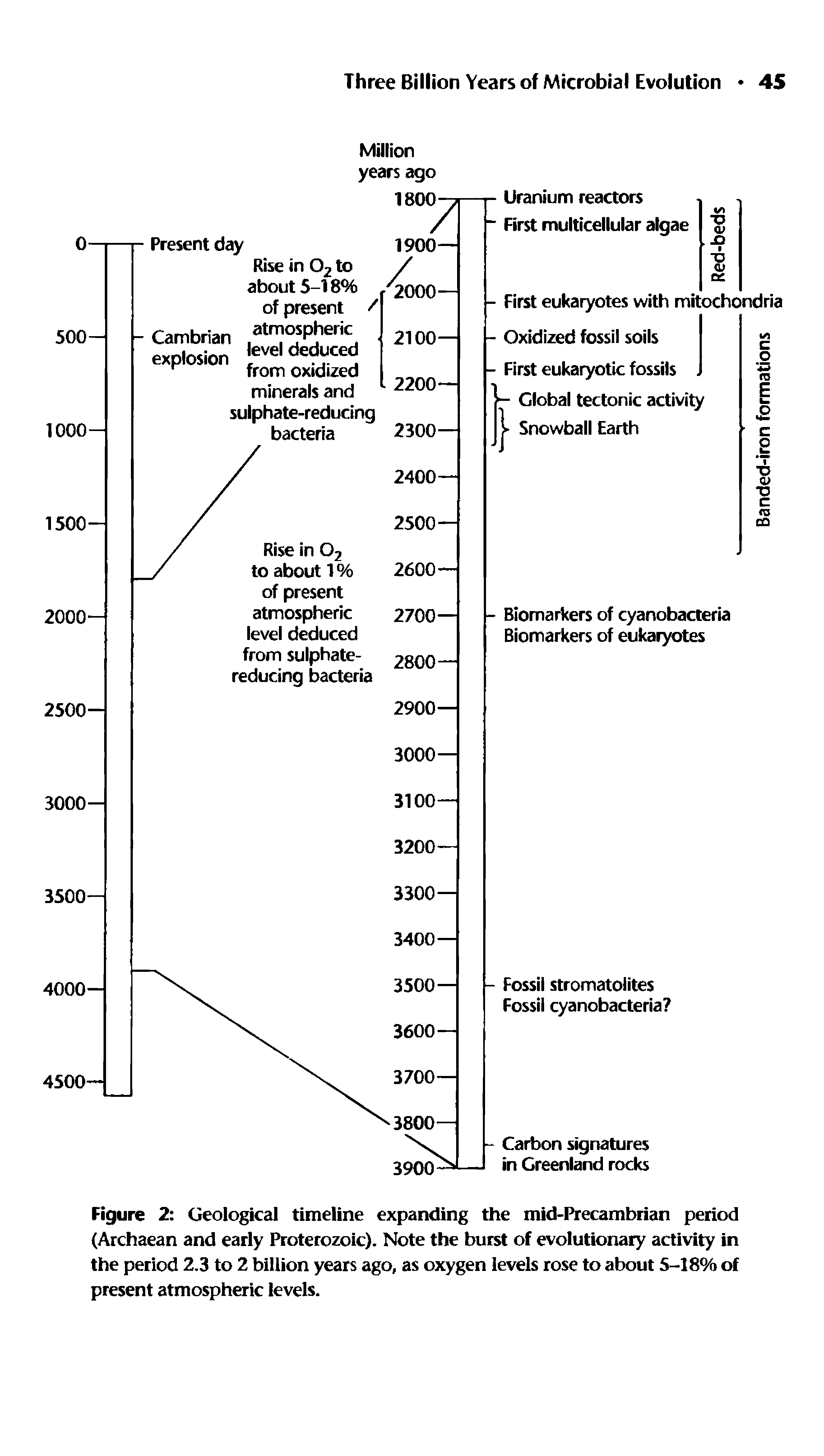 Figure 2 Geological timeline expanding the mid-Precambrian period (Archaean and early Proterozoic). Note the burst of evolutionary activity in the period 2.3 to 2 billion years ago, as oxygen levels rose to about 5-18% of present atmospheric levels.