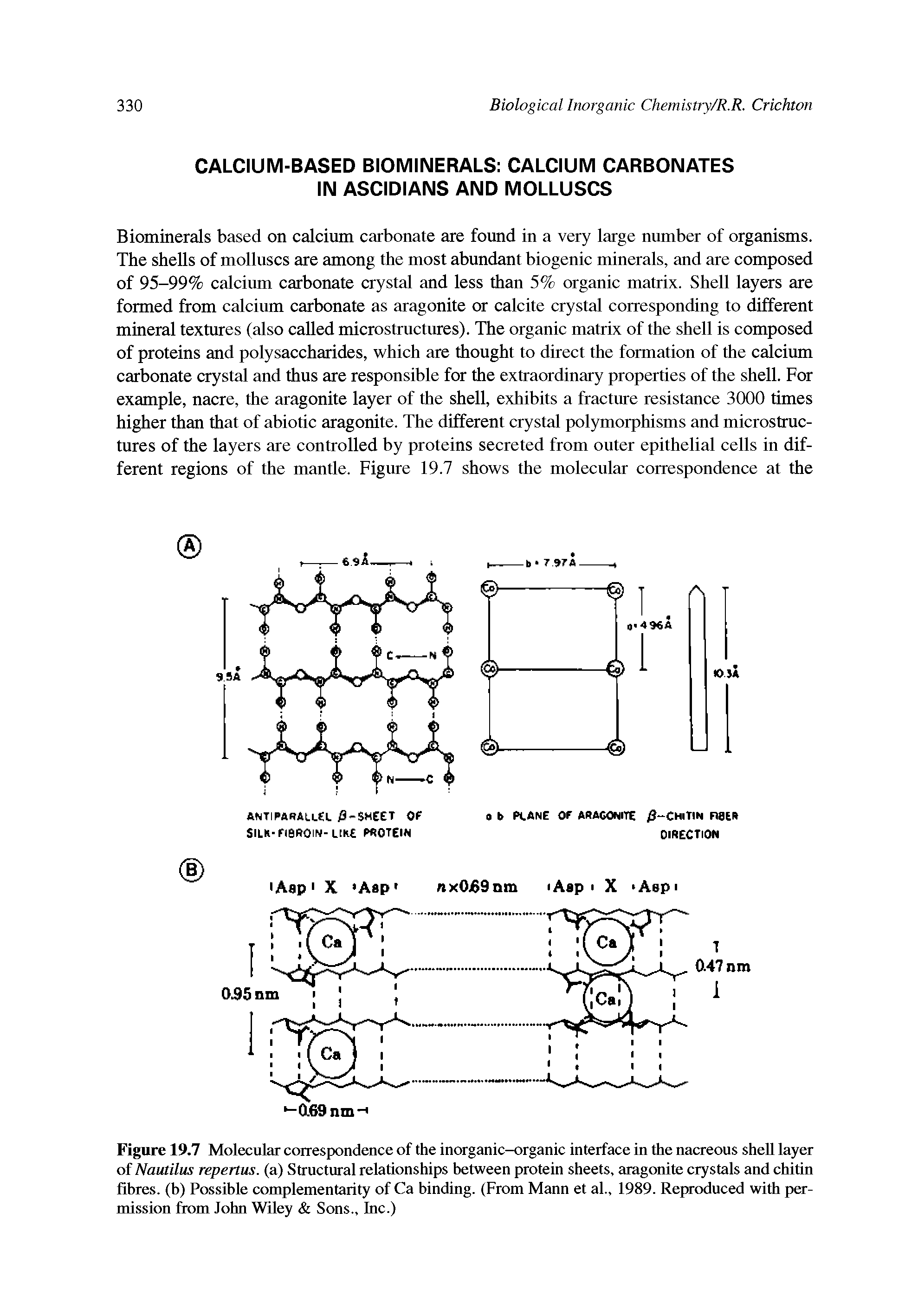 Figure 19.7 Molecular correspondence of the inorganic-organic interface in the nacreous shell layer of Nautilus repertus. (a) Structural relationships between protein sheets, aragonite crystals and chitin fibres, (b) Possible complementarity of Ca binding. (From Mann et al., 1989. Reproduced with permission from John Wiley Sons., Inc.)...