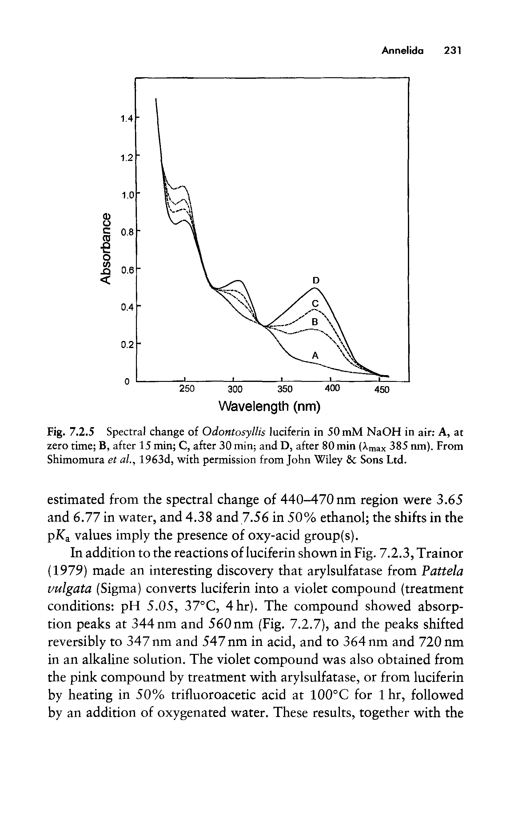 Fig. 7.2.5 Spectral change of Odontosyllis luciferin in 50 mM NaOH in air A, at zero time B, after 15 min C, after 30 min and D, after 80 min (Xmax 385 nm). From Shimomura et ai, 1963d, with permission from John Wiley Sons Ltd.