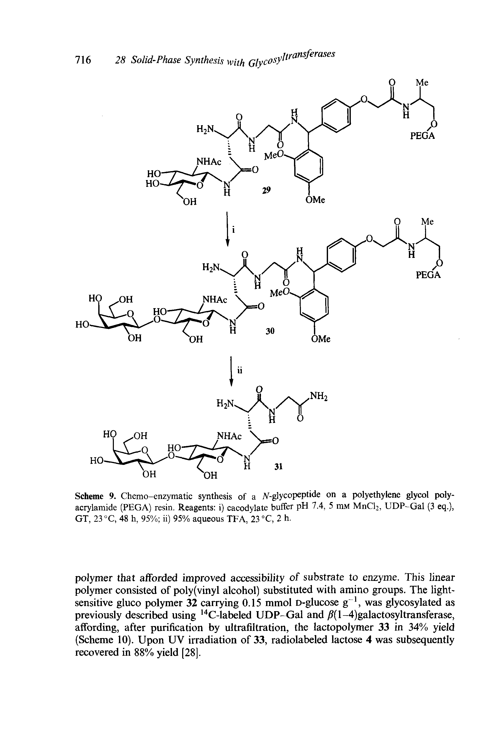 Scheme 9. Chemo-enzymatic synthesis of a iV-glycopeptide on a polyethylene glycol polyacrylamide (PEGA) resin. Reagents i) cacodylate buffer pH 7.4, 5 mM MnCl2, UDP-Gal (3 eq.), GT, 23 °C, 48 h, 95% ii) 95% aqueous TEA, 23 °C, 2 h.