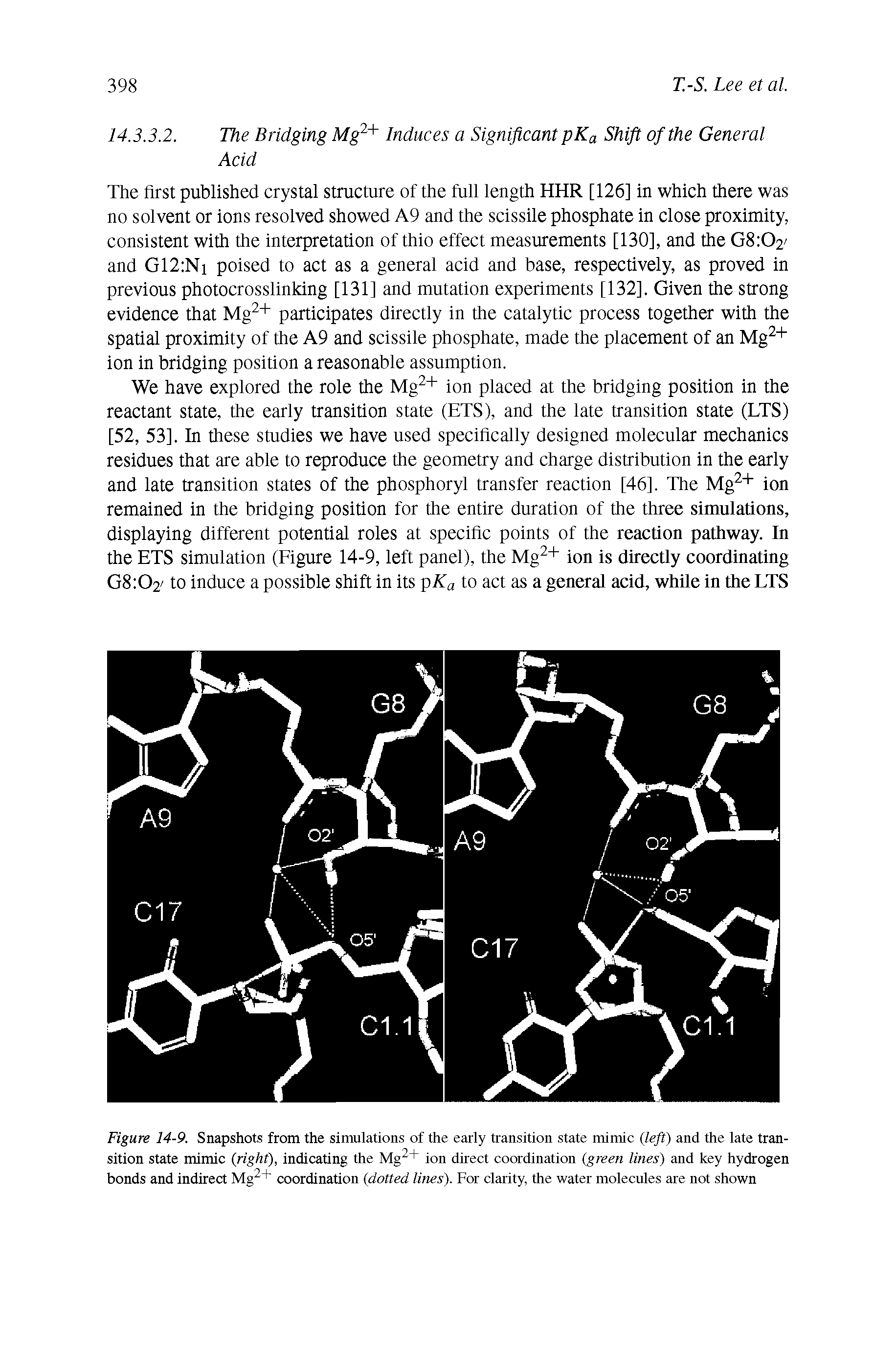 Figure 14-9. Snapshots from the simulations of the early transition state mimic (left) and the late transition state mimic (right), indicating the Mg2+ ion direct coordination (green lines) and key hydrogen bonds and indirect Mg2+ coordination (dotted lines). For clarity, the water molecules are not shown...