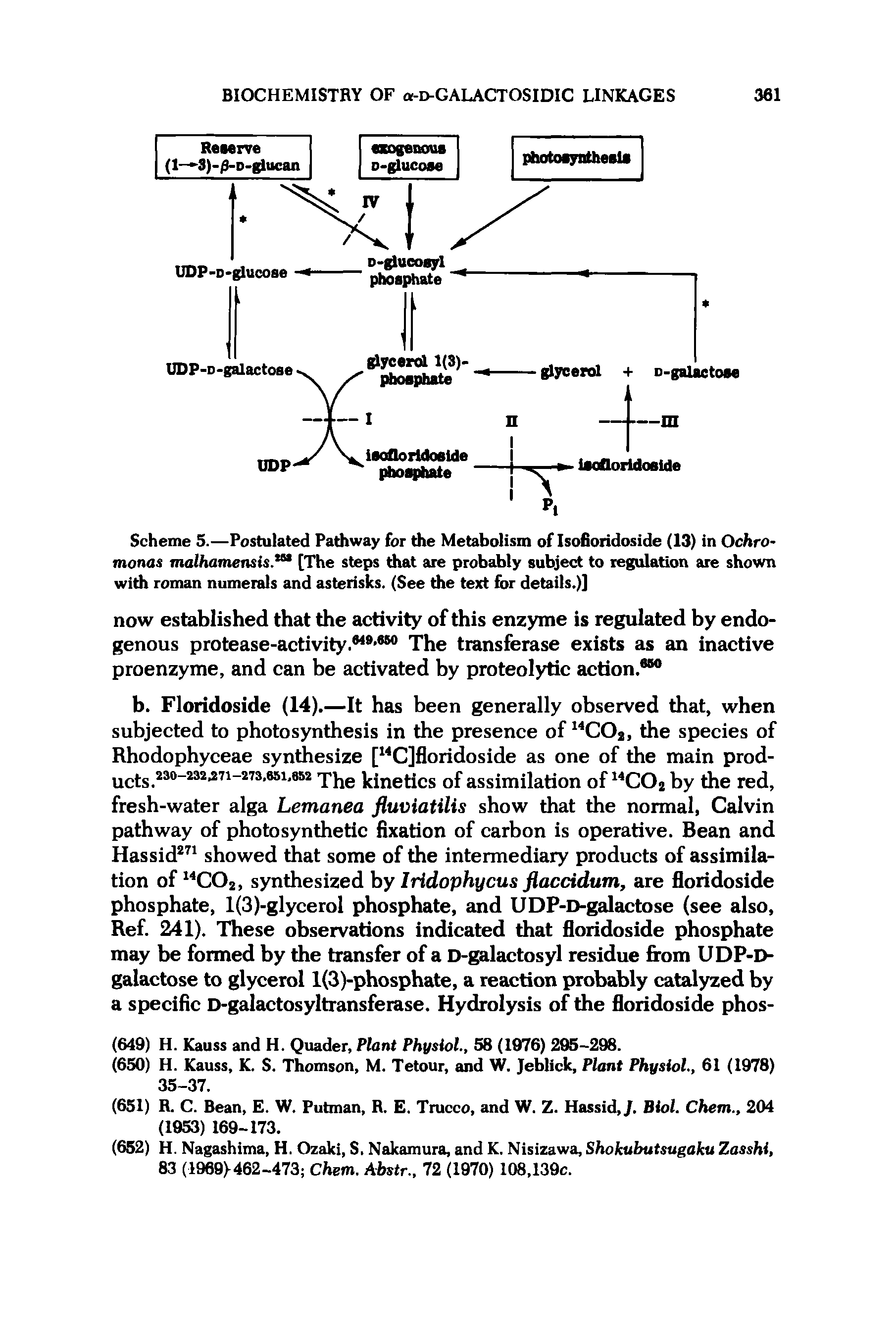 Scheme 5.—Postulated Pathway for the Metabolism of Isofioridoside (13) in Ochro-monas malhamensis[The steps that are probably subject to regulation are shown with roman numerals and asterisks. (See the text for details.)]...