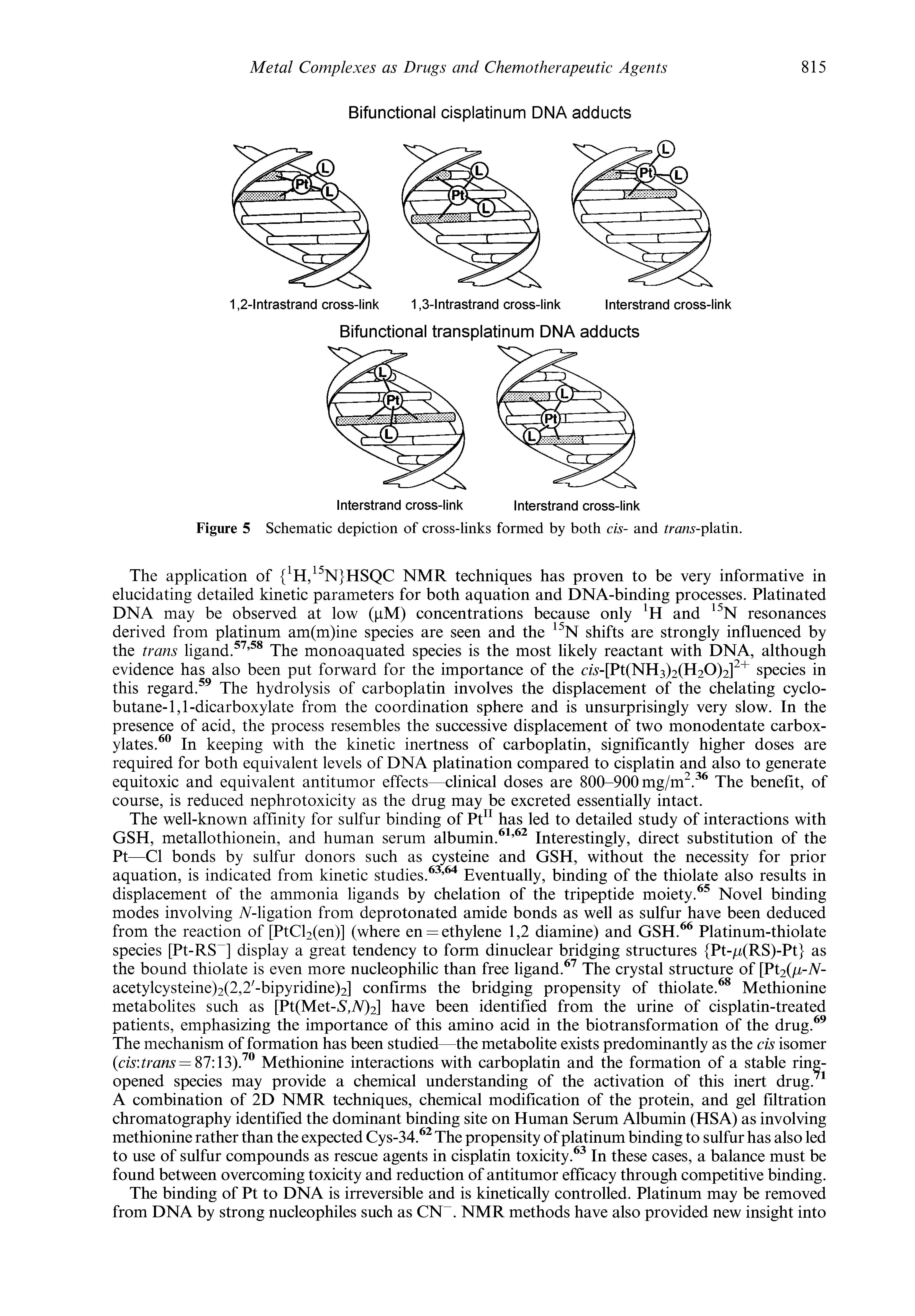 Figure 5 Schematic depiction of cross-links formed by both cis- and trans-platin.