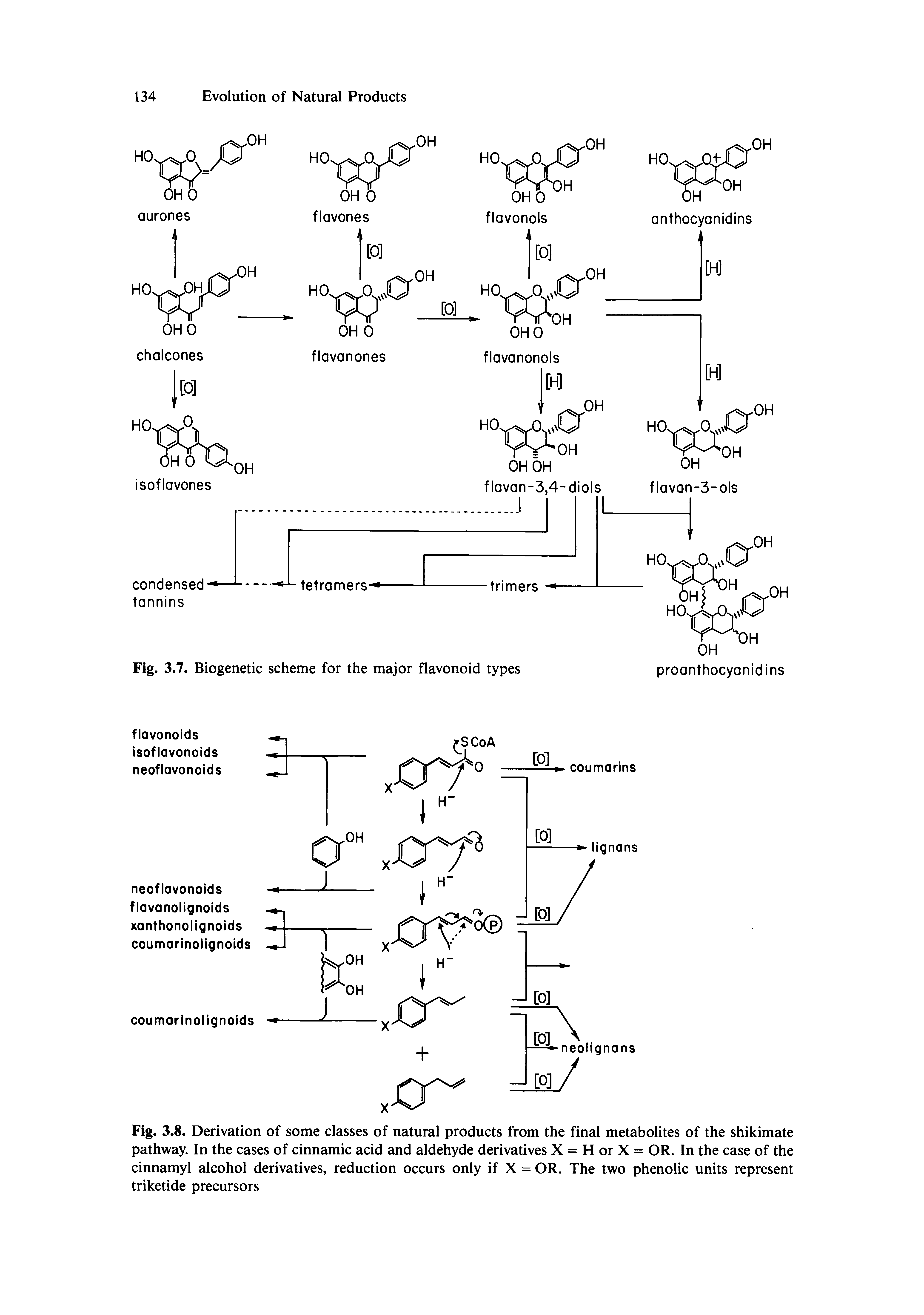 Fig. 3.8. Derivation of some classes of natural products from the final metabolites of the shikimate pathway. In the cases of cinnamic acid and aldehyde derivatives X = H or X = OR. In the case of the cinnamyl alcohol derivatives, reduction occurs only if X = OR. The two phenolic units represent triketide precursors...