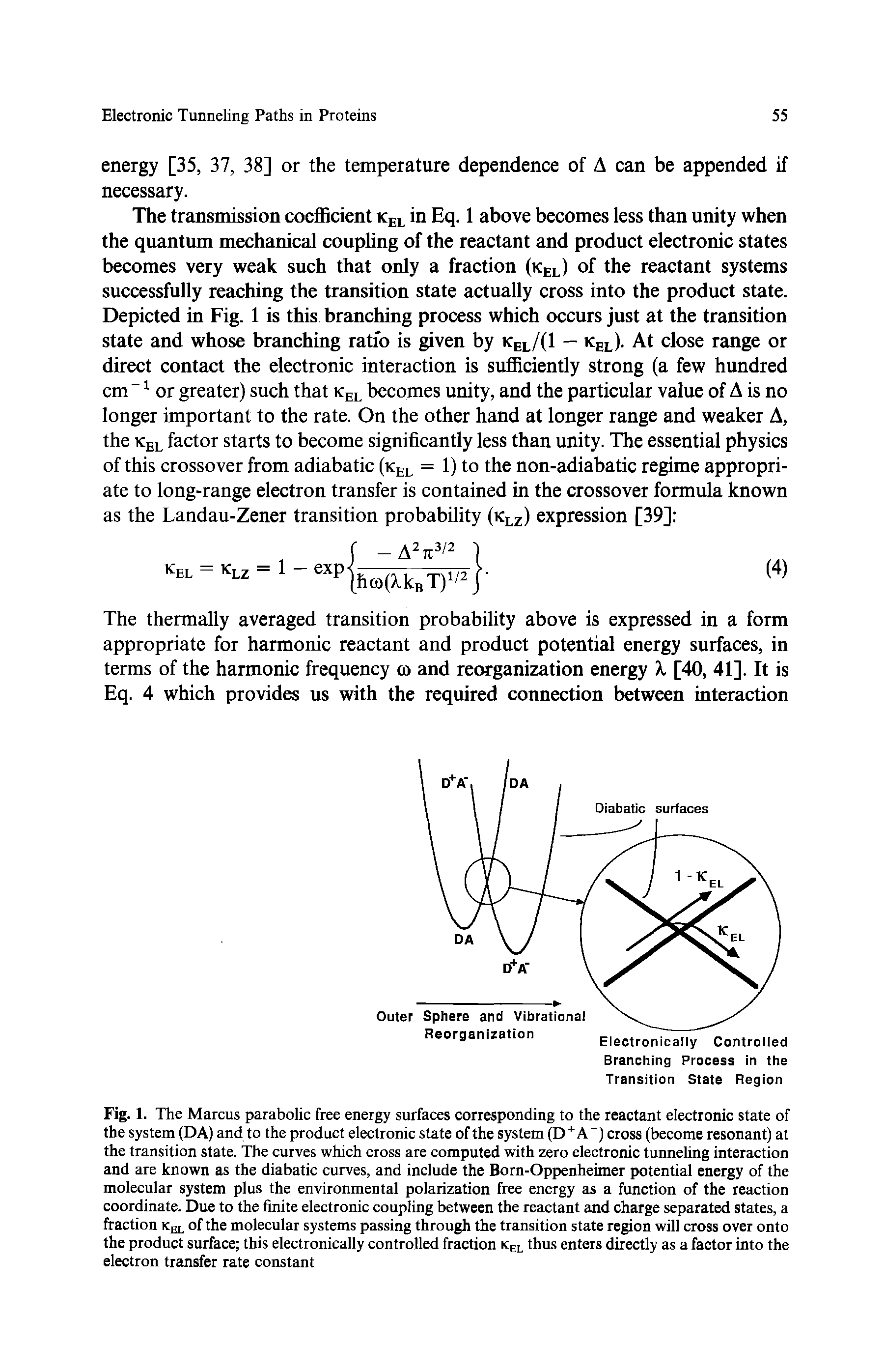 Fig. 1. The Marcus parabolic free energy surfaces corresponding to the reactant electronic state of the system (DA) and to the product electronic state of the system (D A ) cross (become resonant) at the transition state. The curves which cross are computed with zero electronic tunneling interaction and are known as the diabatic curves, and include the Born-Oppenheimer potential energy of the molecular system plus the environmental polarization free energy as a function of the reaction coordinate. Due to the finite electronic coupling between the reactant and charge separated states, a fraction k l of the molecular systems passing through the transition state region will cross over onto the product surface this electronically controlled fraction k l thus enters directly as a factor into the electron transfer rate constant...