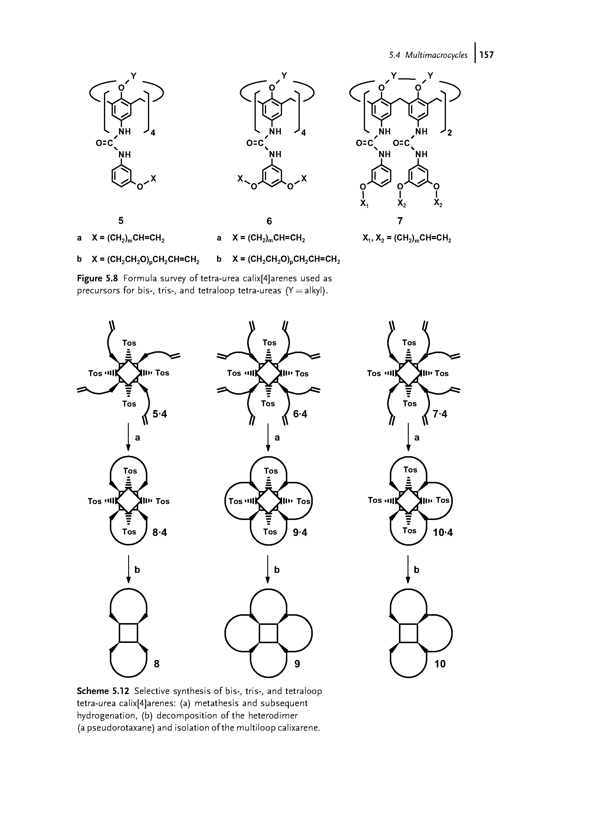 Figure 5.8 Formula survey of tetra-urea calix[4]arenes used as precursors for bis-, tris-, and tetraloop tetra-ureas (Y = alkyl).