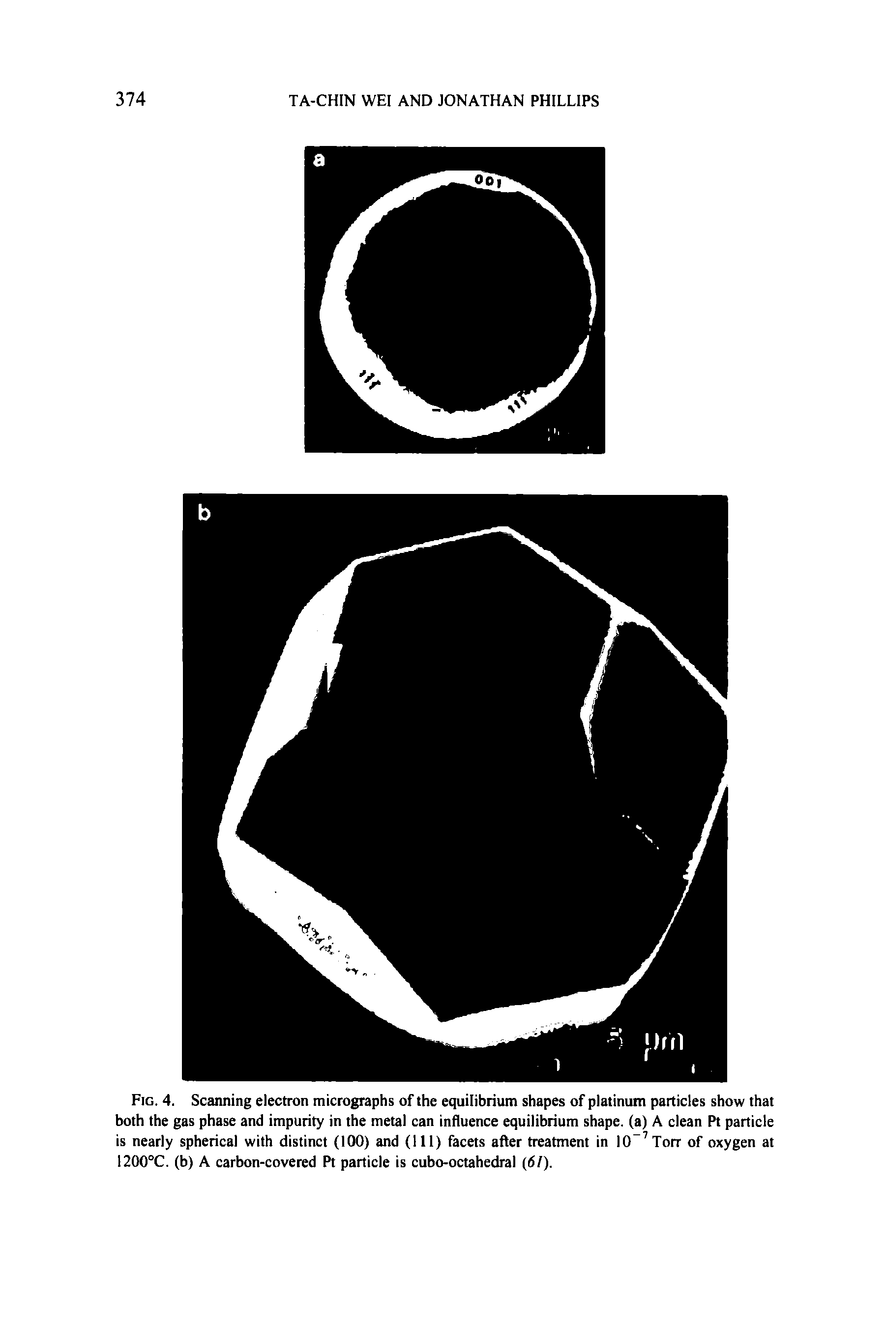 Fig. 4. Scanning electron micrographs of the equilibrium shapes of platinum particles show that both the gas phase and impurity in the metal can influence equilibrium shape, (a) A clean Pt particle is nearly spherical with distinct (100) and (111) facets after treatment in IO 7Torr of oxygen at 1200°C. (b) A carbon-covered Pt particle is cubo-octahedral (61).