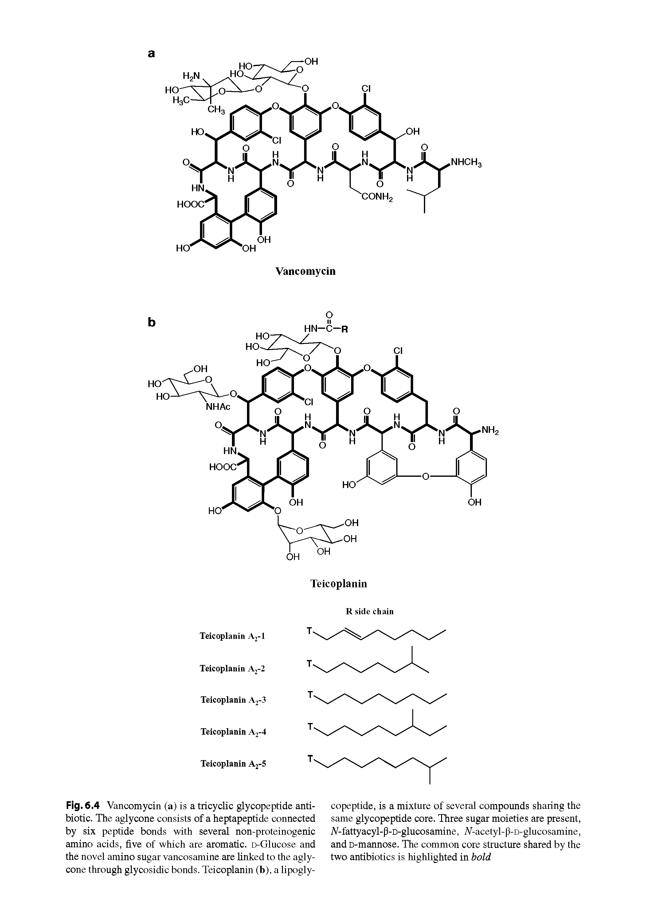 Fig. 6.4 Vancomycin (a) is a tricyclic glycopeptide antibiotic. The aglycone consists of a heptapeptide connected by six peptide bonds with several non-proteinogenic amino acids, five of which are aromatic. o-Glucose and the novel amino sugar vancosamine are linked to the aglycone through glycosidic bonds. Teicoplanin (b), a lipogly-...