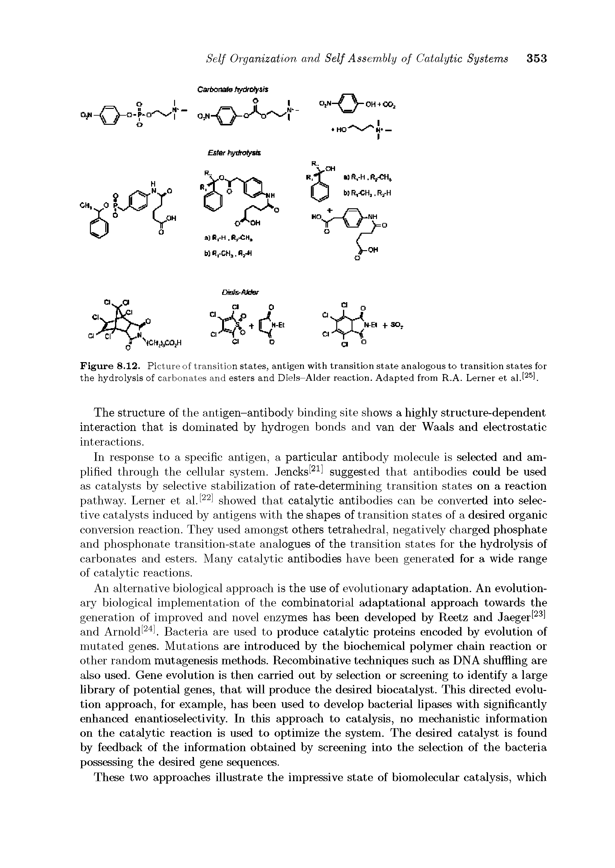 Figure 8.12. Picture of transition states, antigen with transition state analogous to transition states for the hydrolysis of carbonates and esters and Diels—Alder reaction. Adapted from R.A. Lerner et...