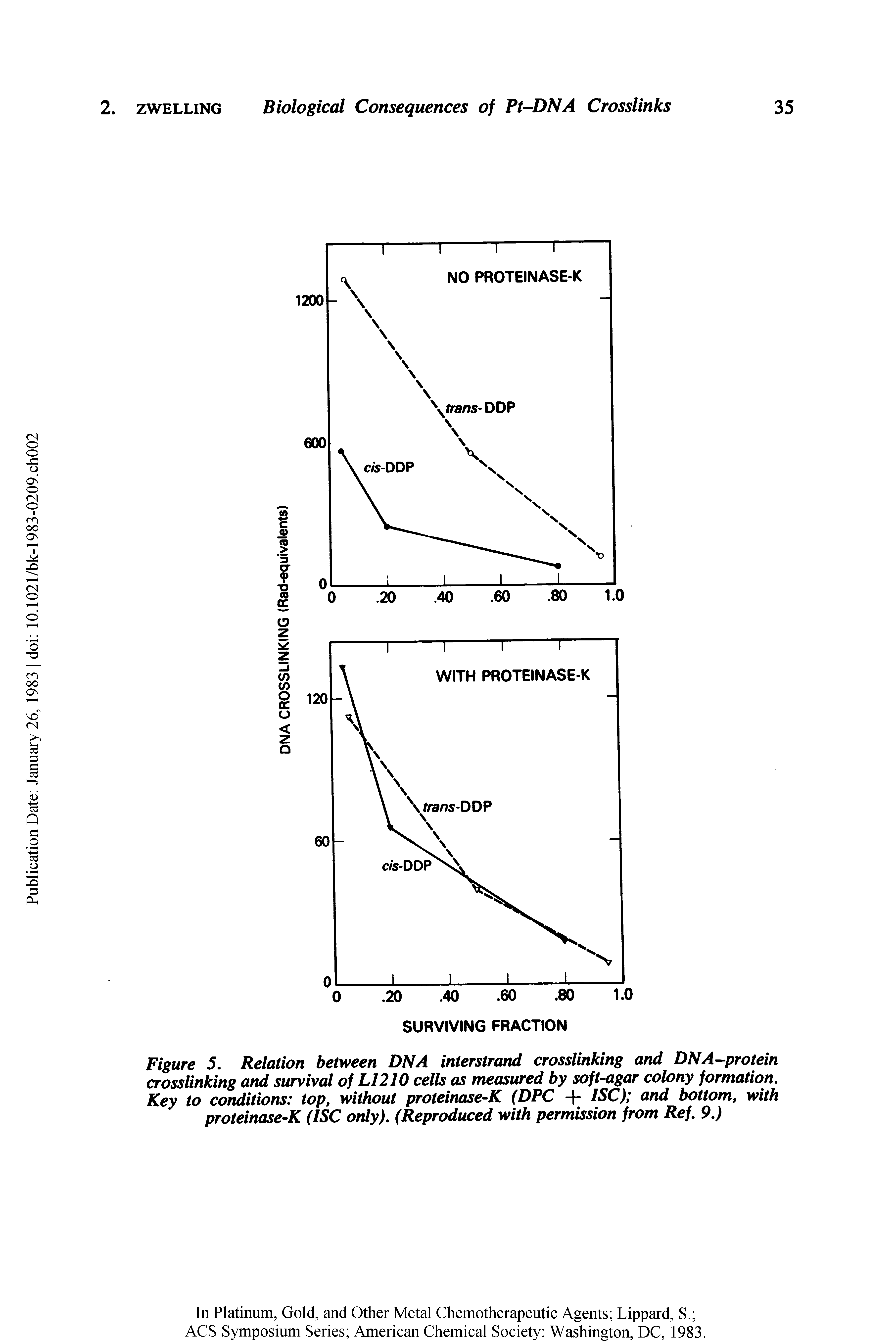 Figure 5. Relation between DNA interstrand crosslinking and DNA protein crosslinking and survival of L1210 cells as measured by soft-agar colony formation. Key to conditions top, without proteinase-K (DPC + ISC) and bottom, with proteinase-K (ISC only). (Reproduced with permission from Ref. 9.)...