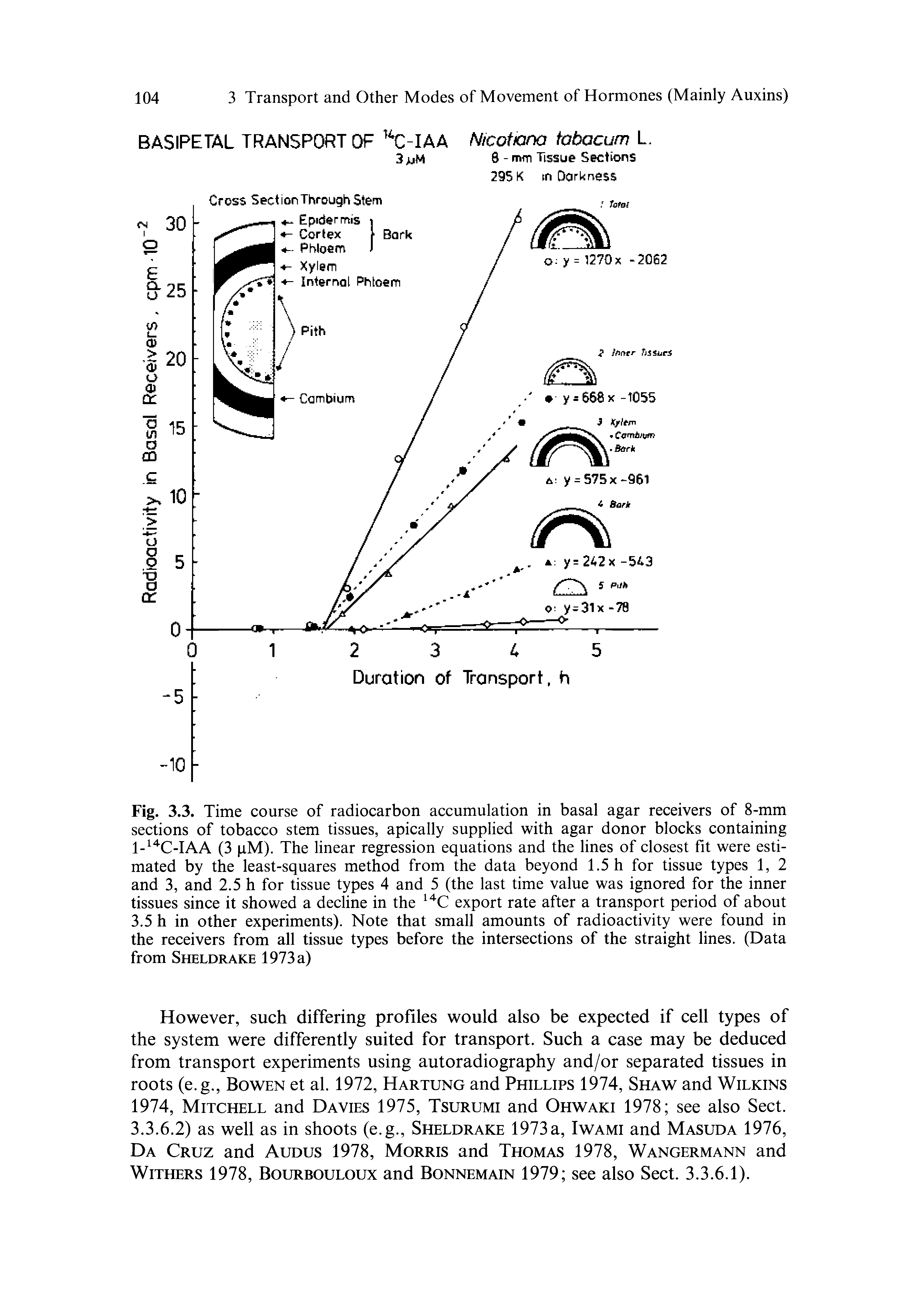 Fig. 3.3. Time course of radiocarbon accumulation in basal agar receivers of 8-mm sections of tobacco stem tissues, apically supplied with agar donor blocks containing l i C IAA (3 pM). The linear regression equations and the lines of closest fit were estimated by the least-squares method from the data beyond 1.5 h for tissue types 1, 2 and 3, and 2.5 h for tissue types 4 and 5 (the last time value was ignored for the inner tissues since it showed a decline in the export rate after a transport period of about 3.5 h in other experiments). Note that small amounts of radioactivity were found in the receivers from all tissue types before the intersections of the straight lines. (Data from Sheldrake 1973 a)...
