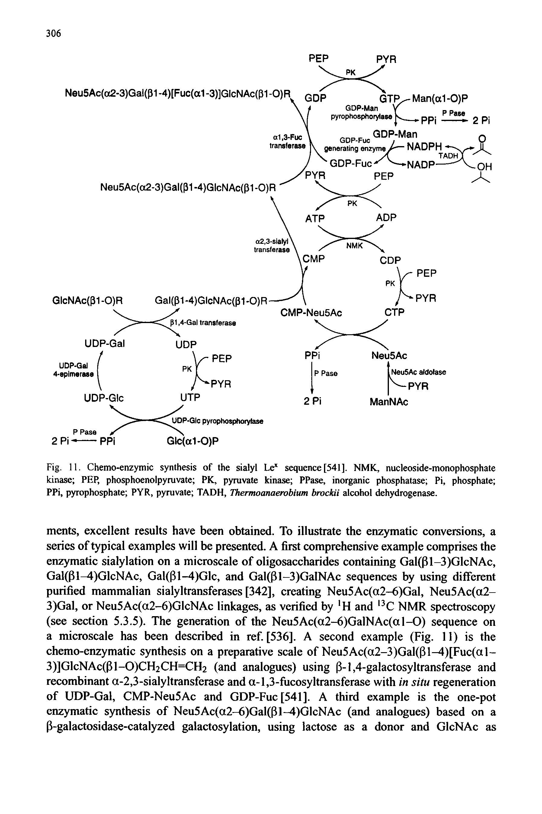Fig. 11. Chemo-enzymic synthesis of the sialyl Le sequence [541]. NMK, nucleoside-monophosphate kinase PEP, phosphoenolpyruvate PK, pyruvate kinase PPase, inorganic phosphatase Pi, phosphate PPi, pyrophosphate PYR, pyruvate TADH, Thermoanaerobium broddi alcohol dehydrogenase.