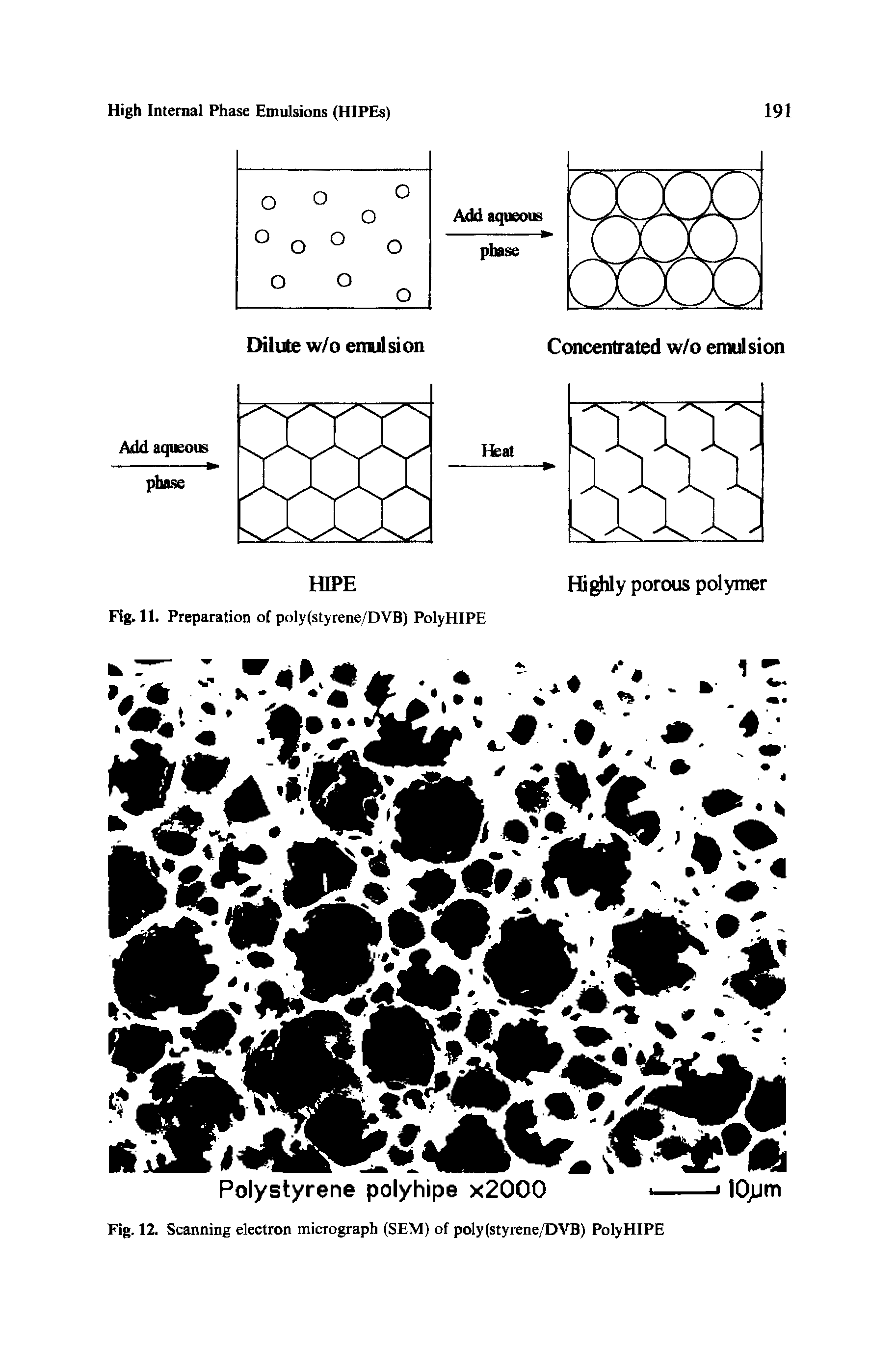 Fig. 12. Scanning electron micrograph (SEM) of poly(styrene/DVB) PolyHIPE...