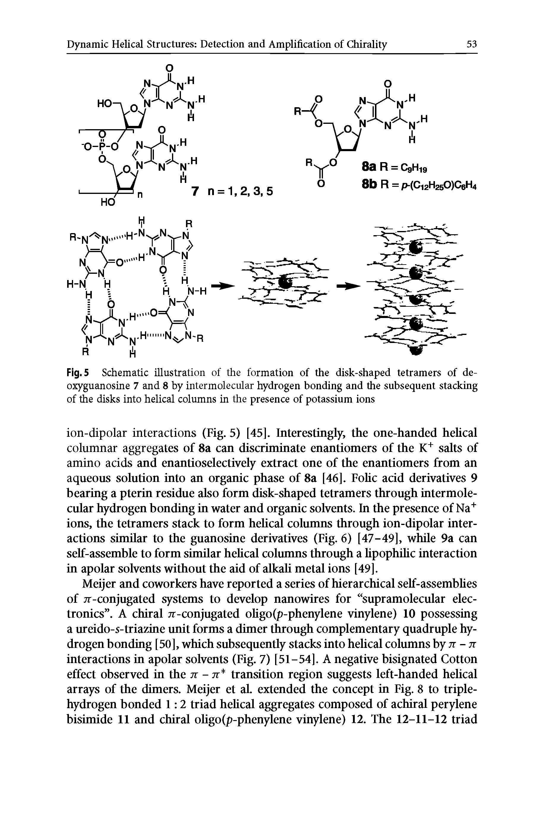 Fig. 5 Schematic illustration of the formation of the disk-shaped tetramers of de-oxyguanosine 7 and 8 by intermolecular hydrogen bonding and the subsequent stacking of the disks into helical columns in the presence of potassium ions...