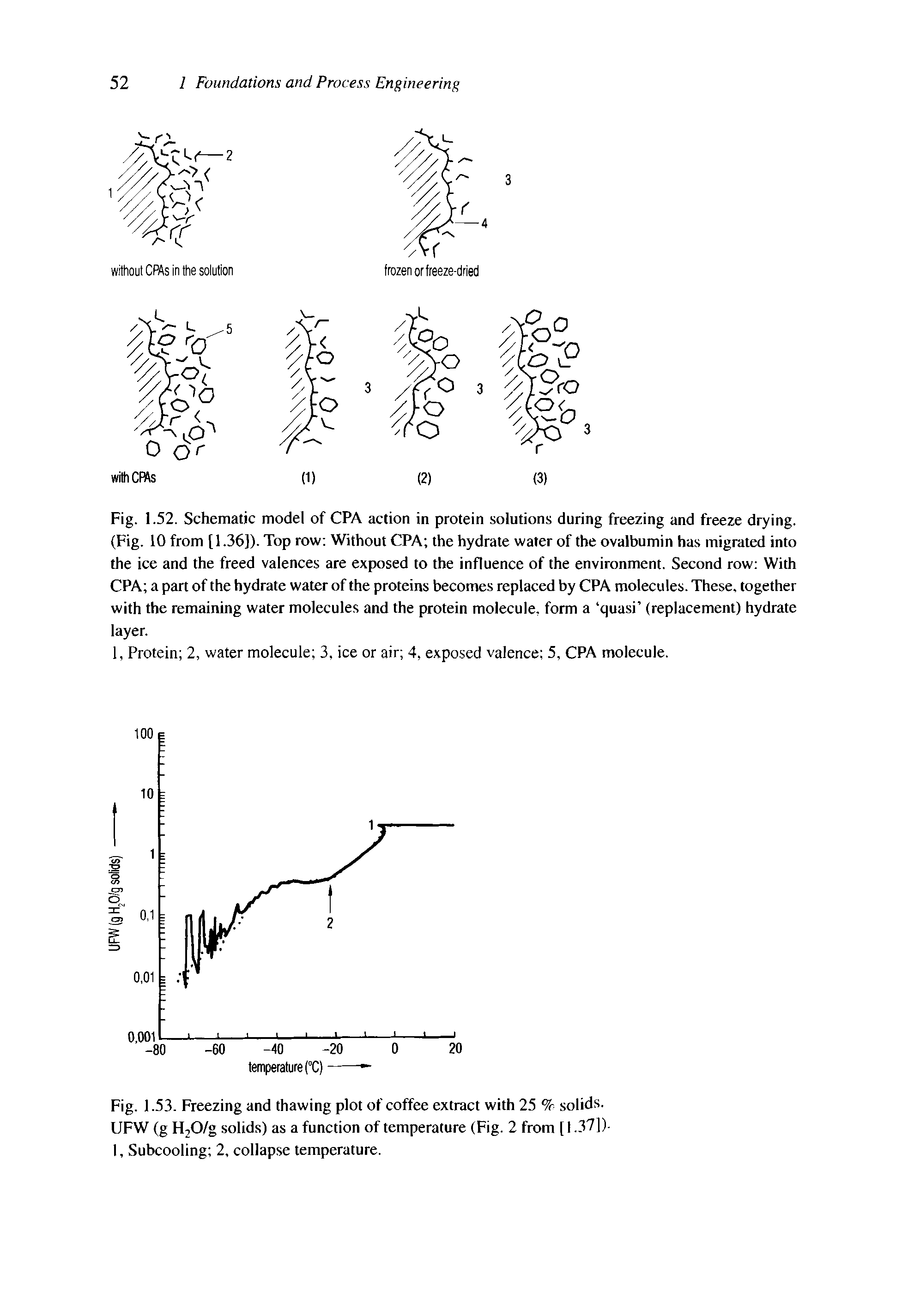 Fig. 1.53. Freezing and thawing plot of coffee extract with 25 % solids. UFW (g H20/g solids) as a function of temperature (Fig. 2 from [ 1.37])-I, Subcooling 2, collapse temperature.